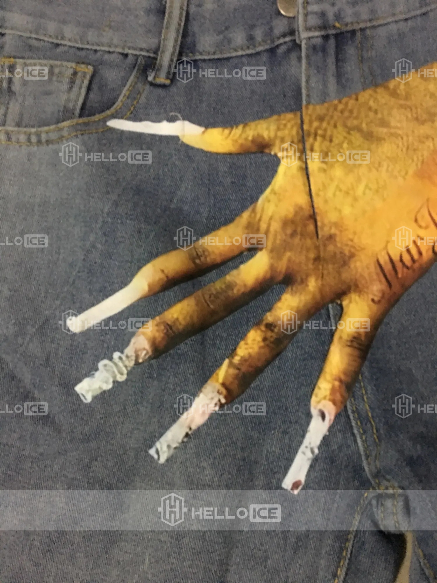 Helloice Review Image