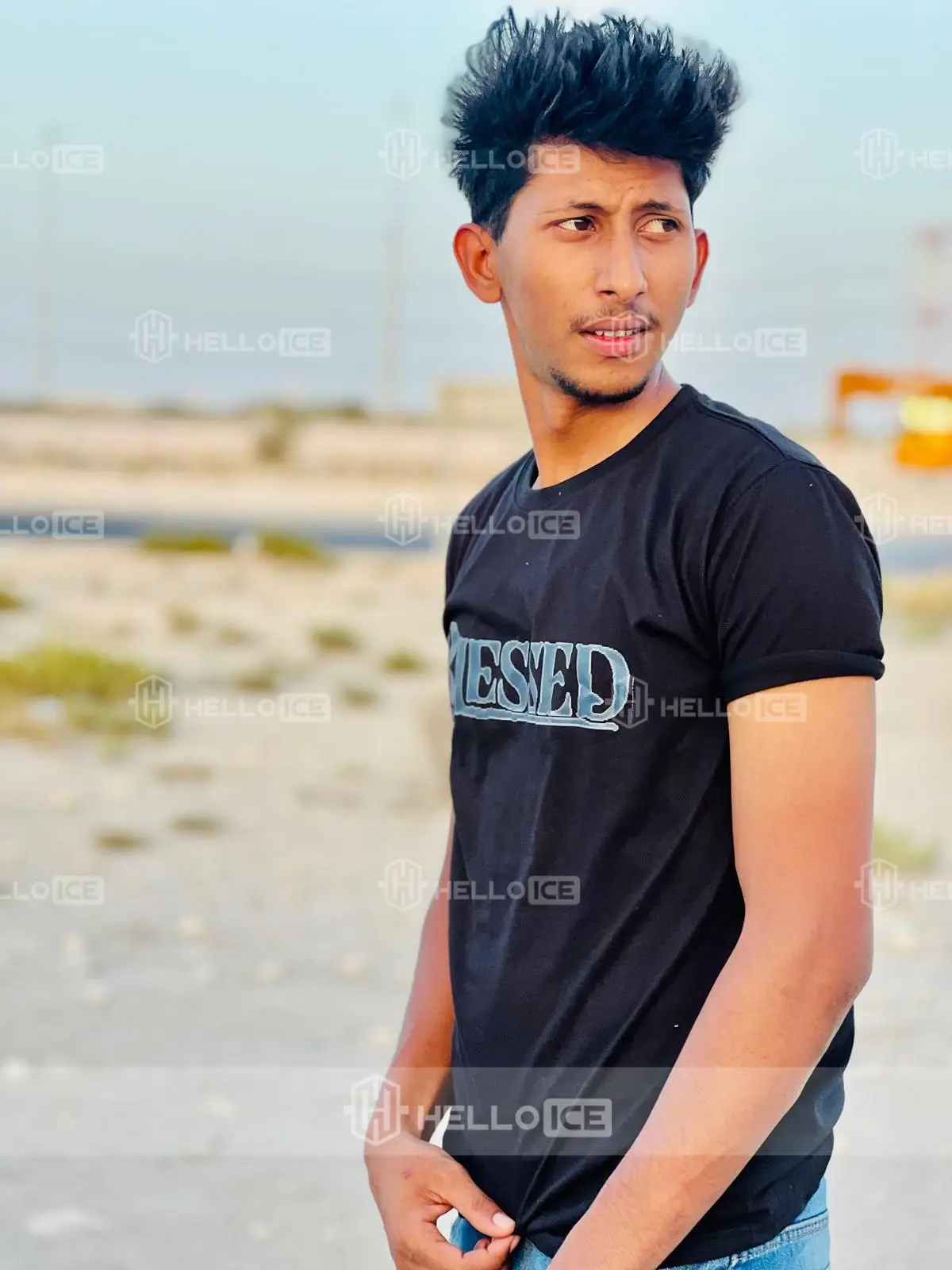 Helloice Review Image