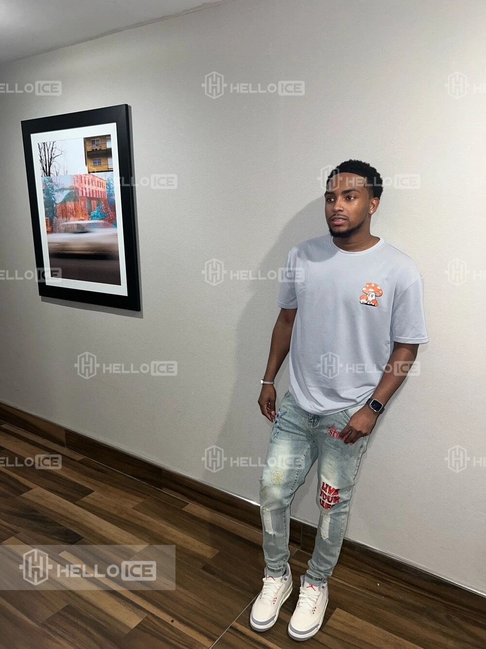 Helloice Review Image