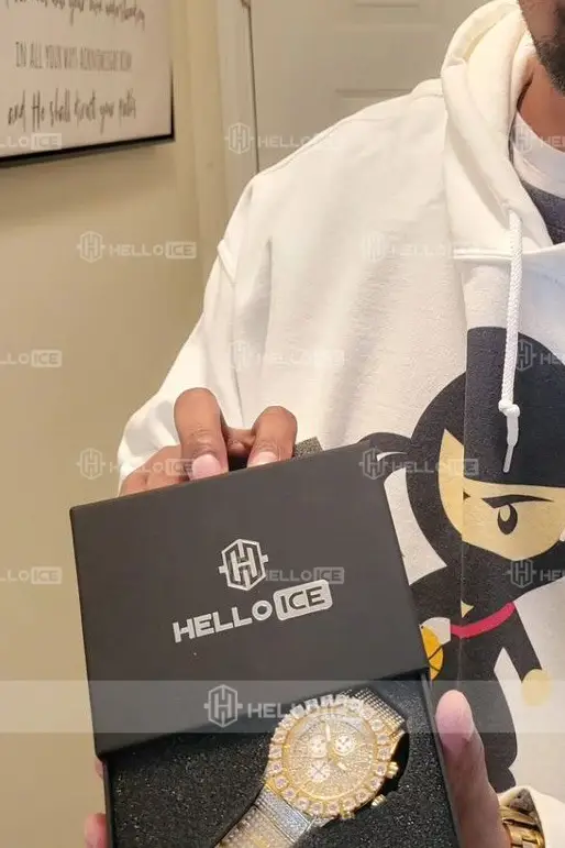 Helloice Review Image