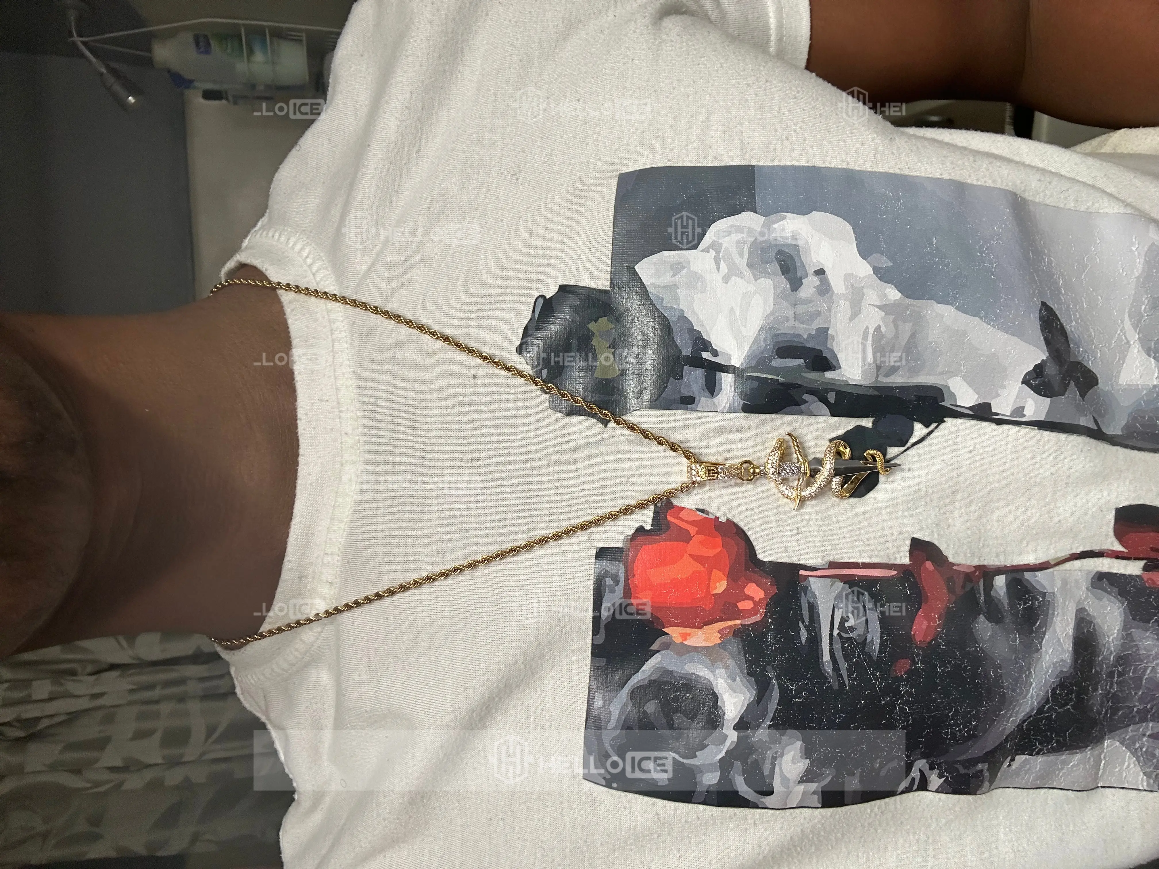 Helloice Review Image