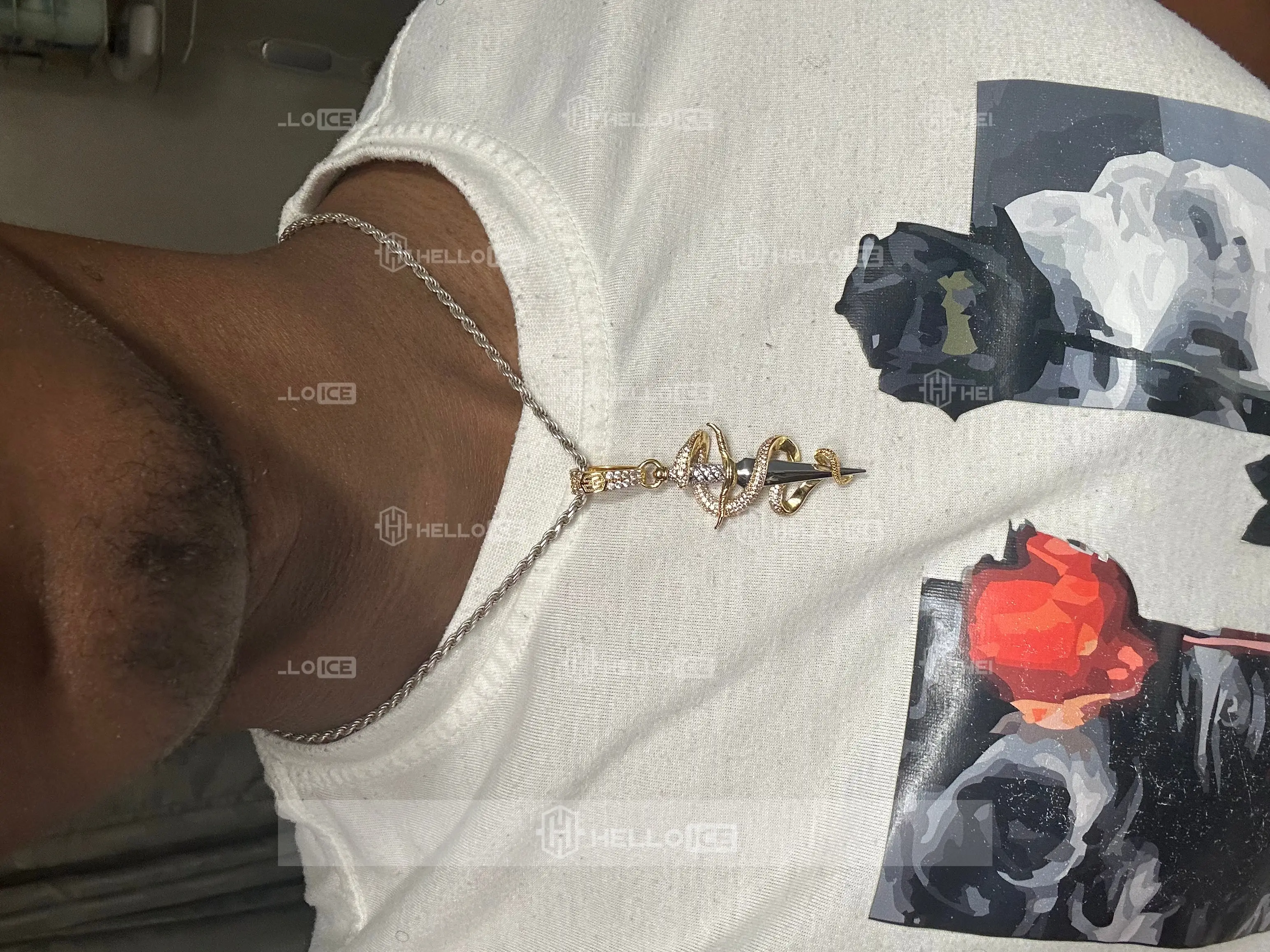 Helloice Review Image