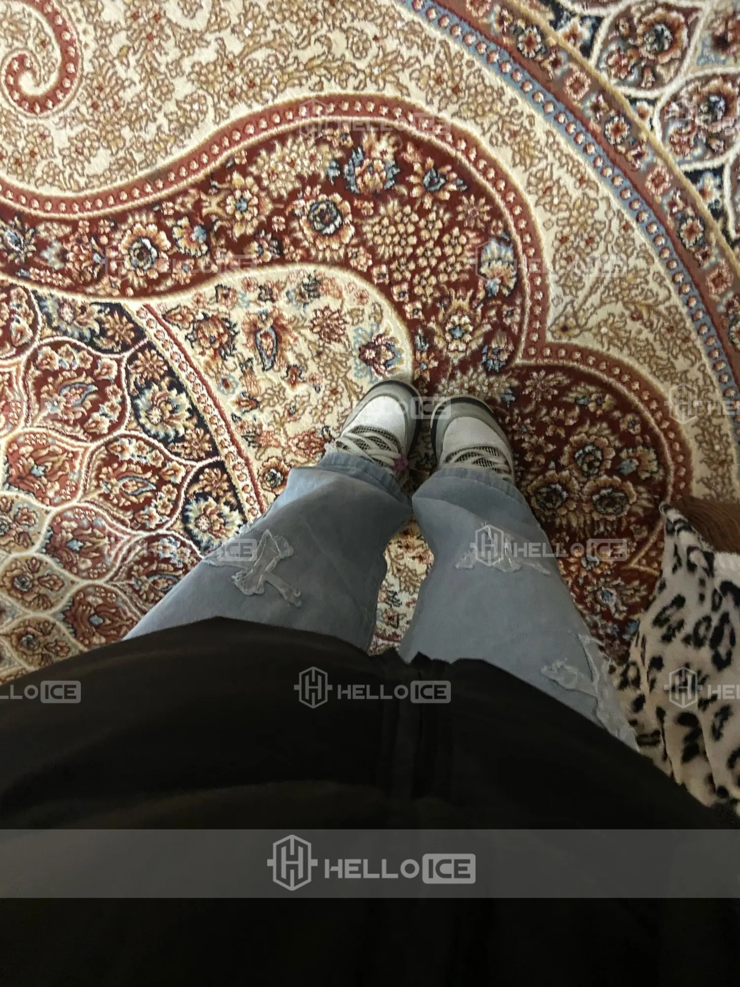 Helloice Review Image