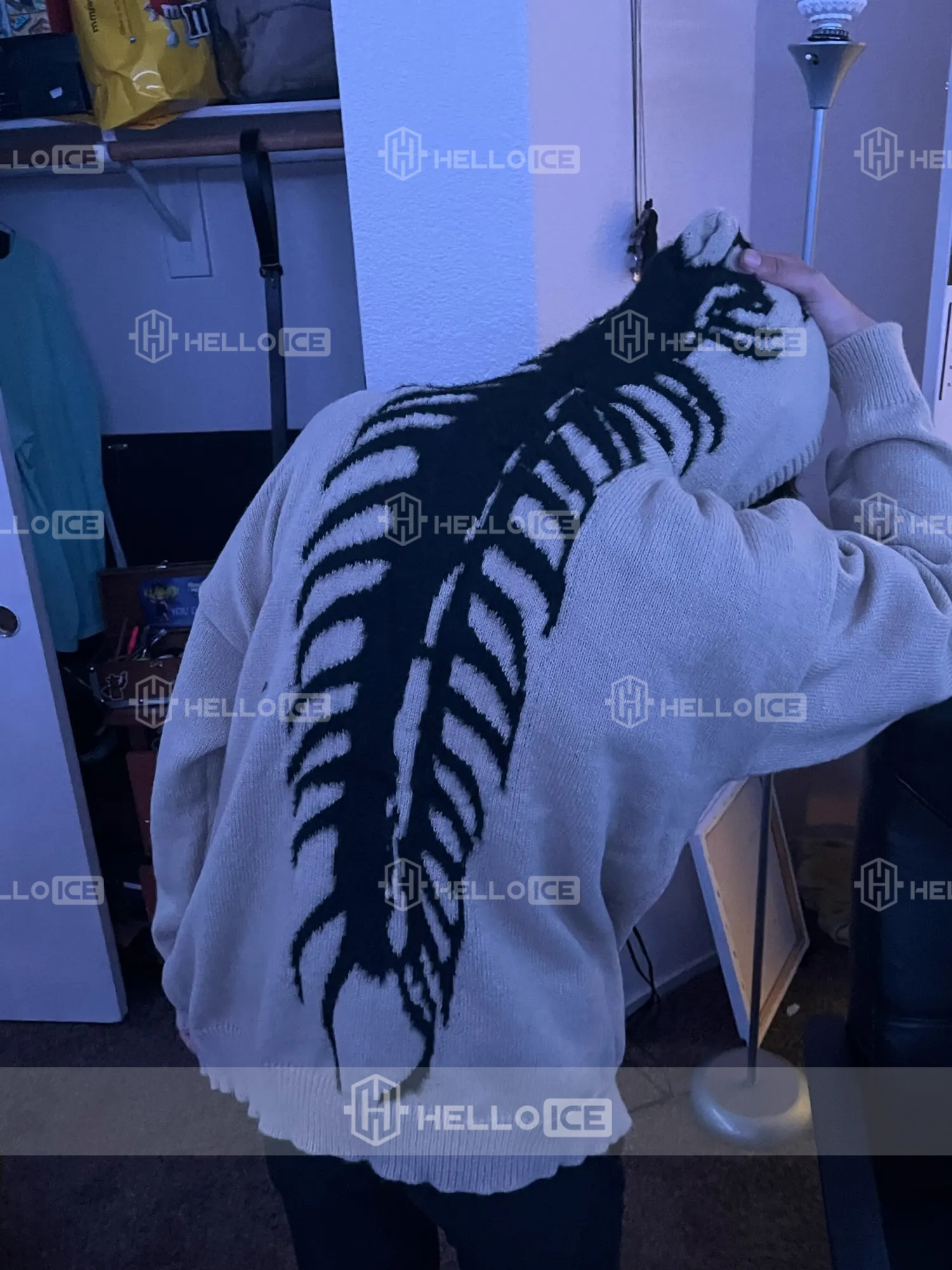 Helloice Review Image