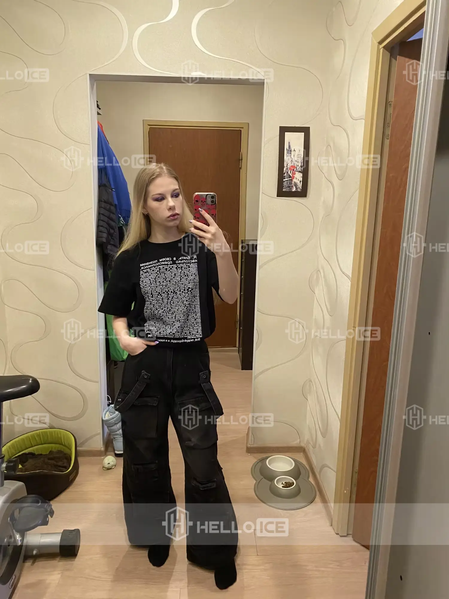 Helloice Review Image