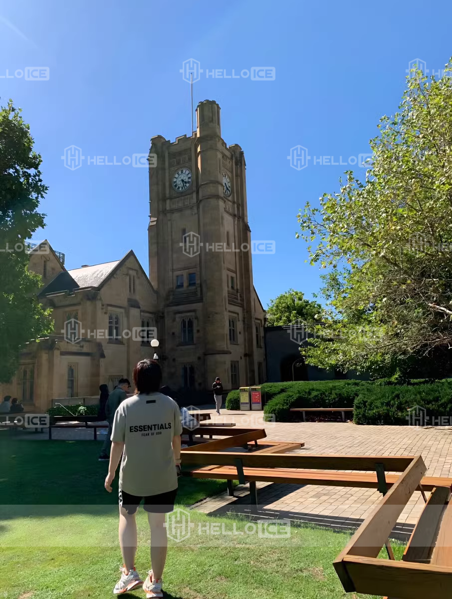 Helloice Review Image