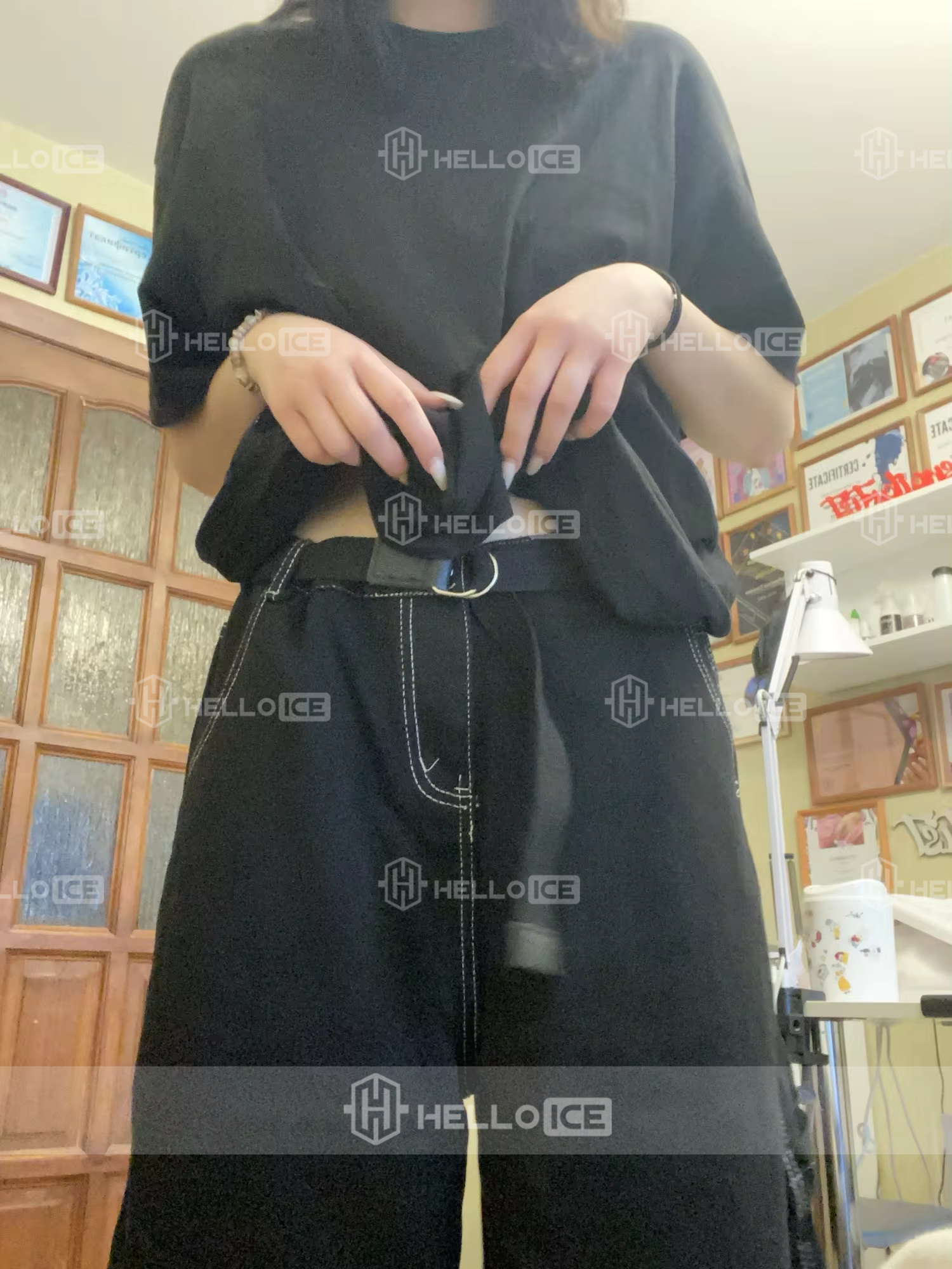 Helloice Review Image