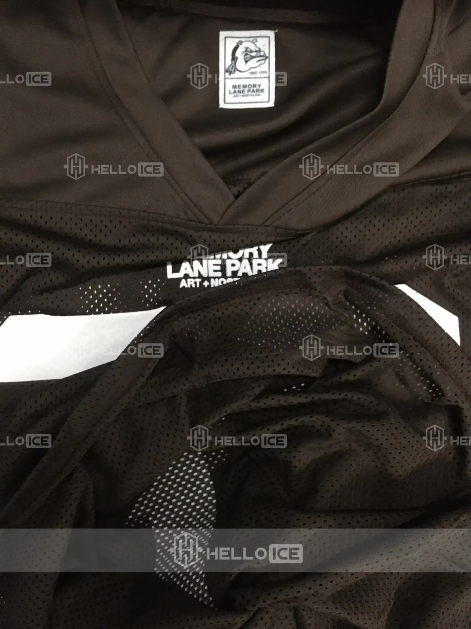 Helloice Review Image