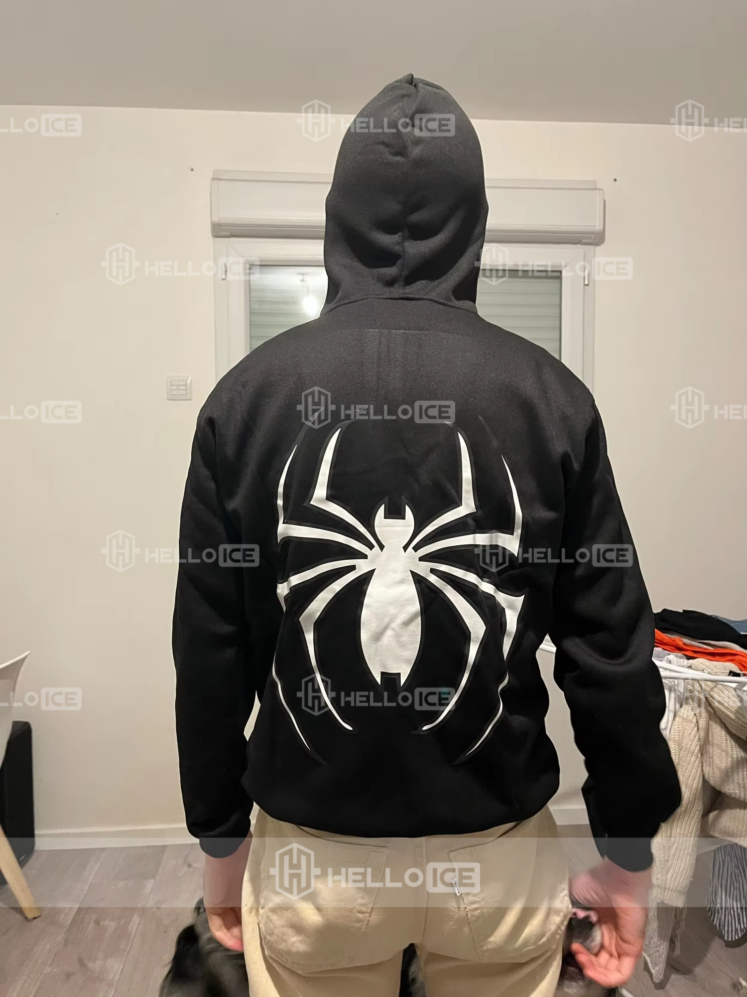 Helloice Review Image