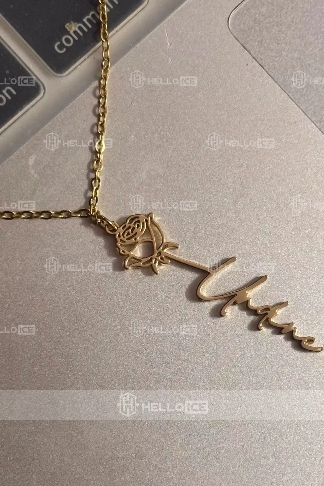 Helloice Review Image