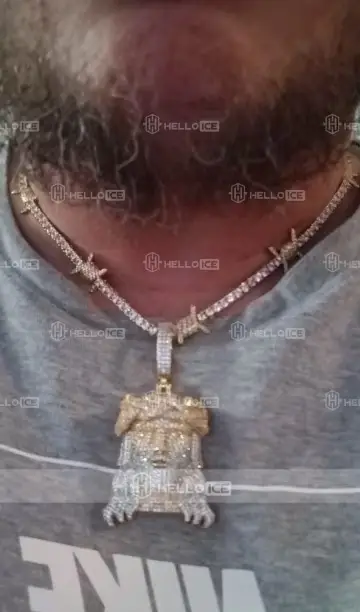 Helloice Review Image