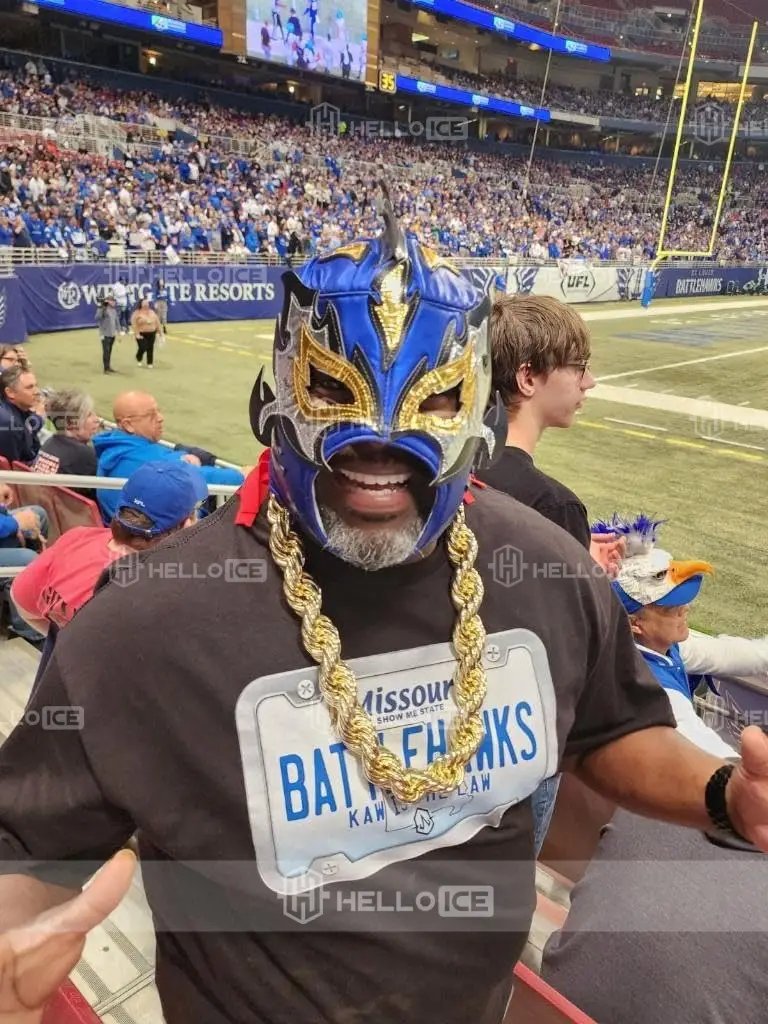 Helloice Review Image