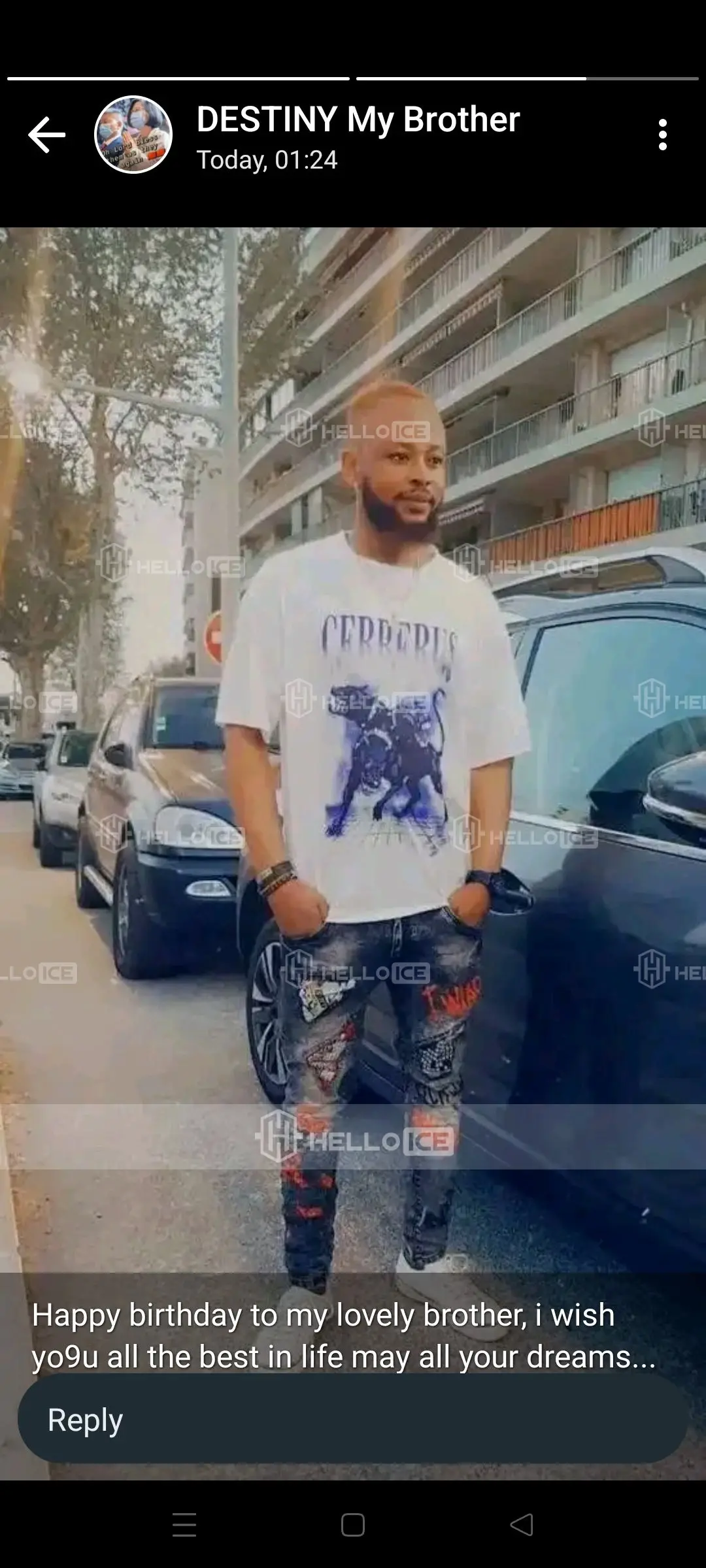 Helloice Review Image