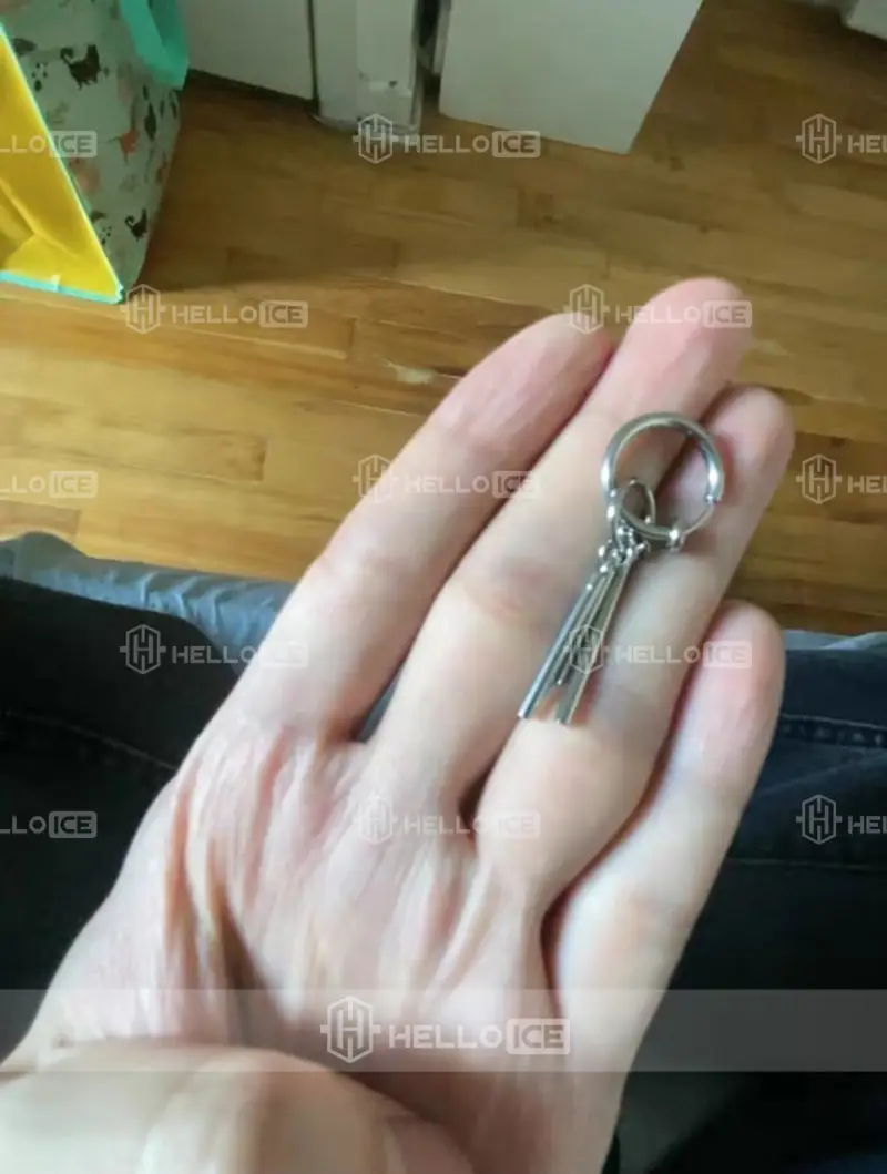 Helloice Review Image