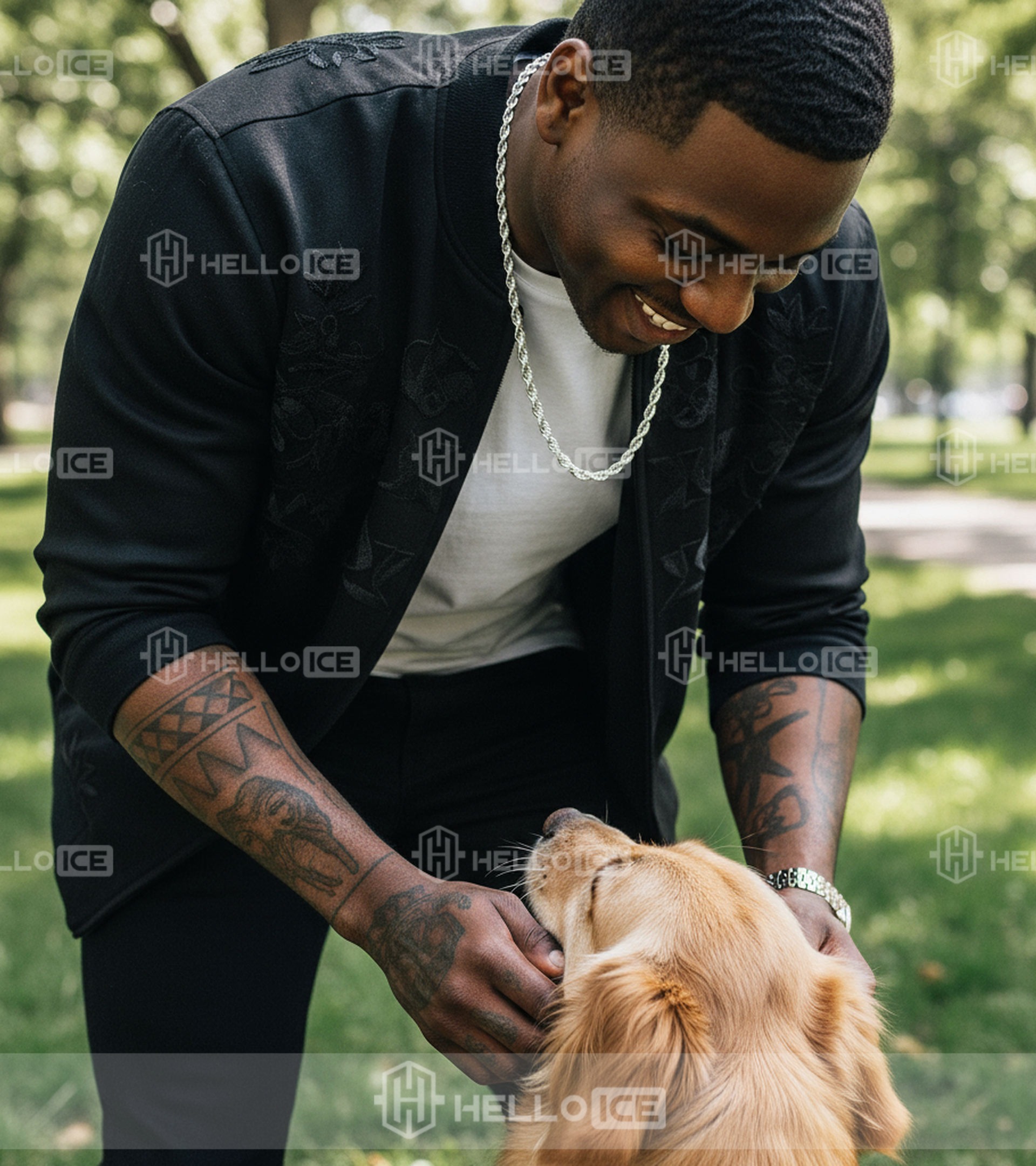 Helloice Review Image