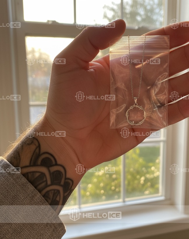 Helloice Review Image