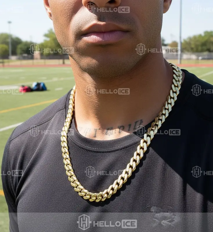 Helloice Review Image