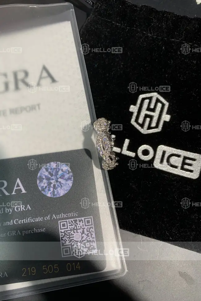 Helloice Review Image