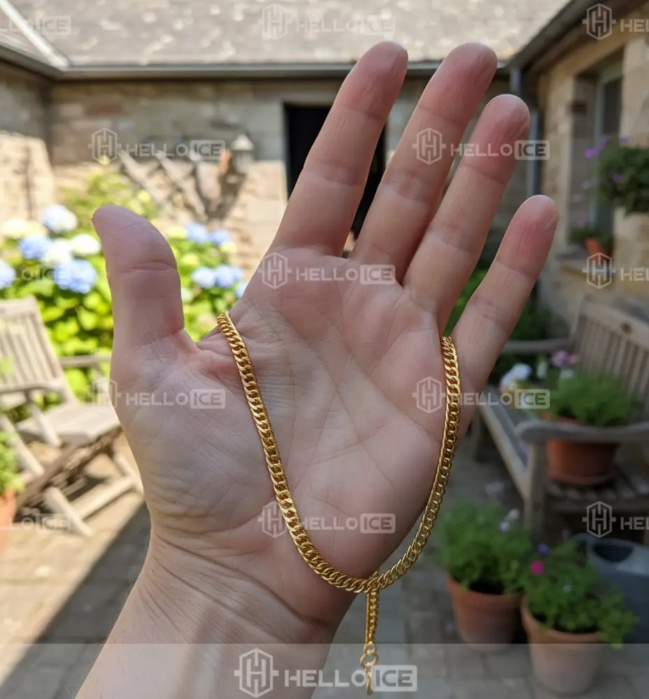 Helloice Review Image