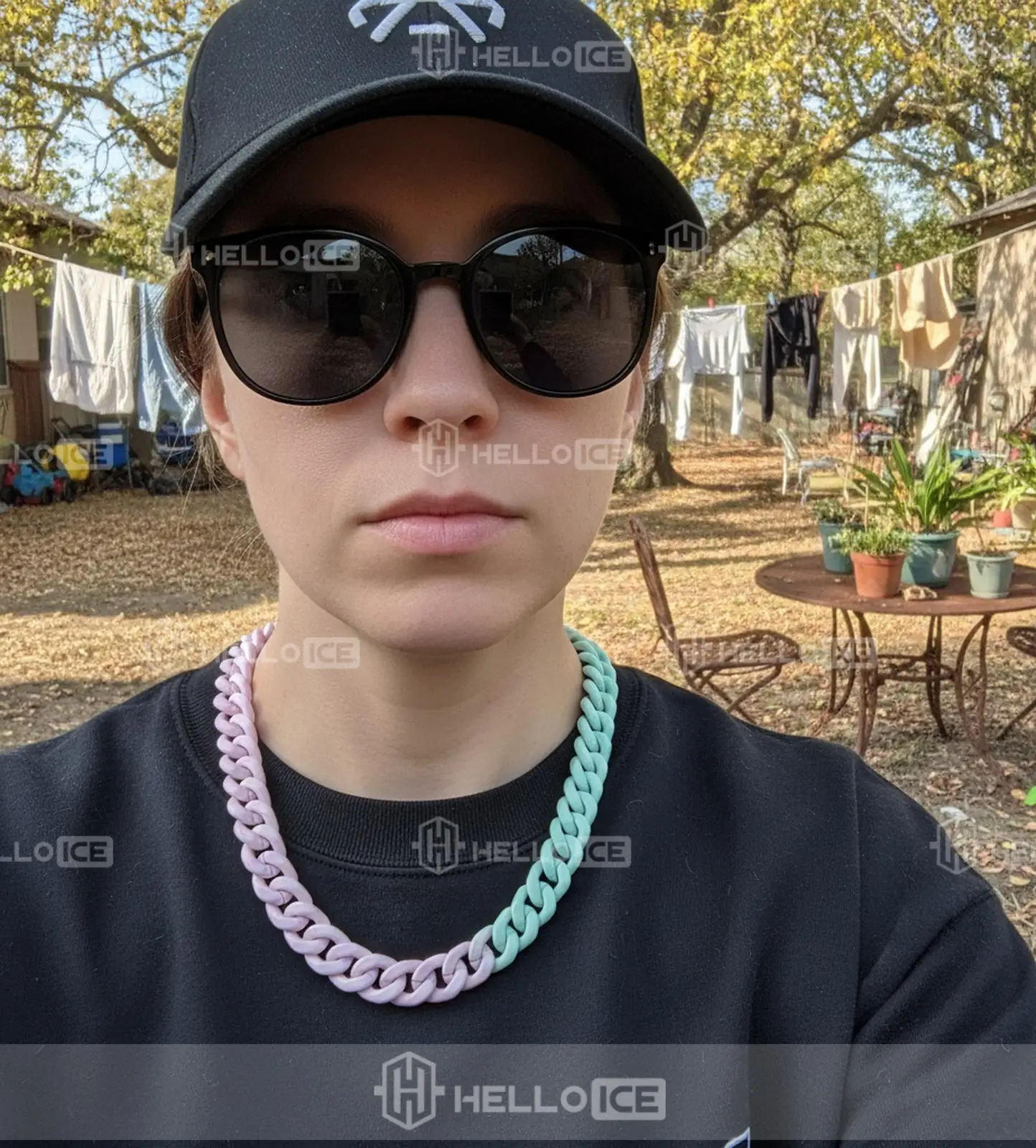 Helloice Review Image