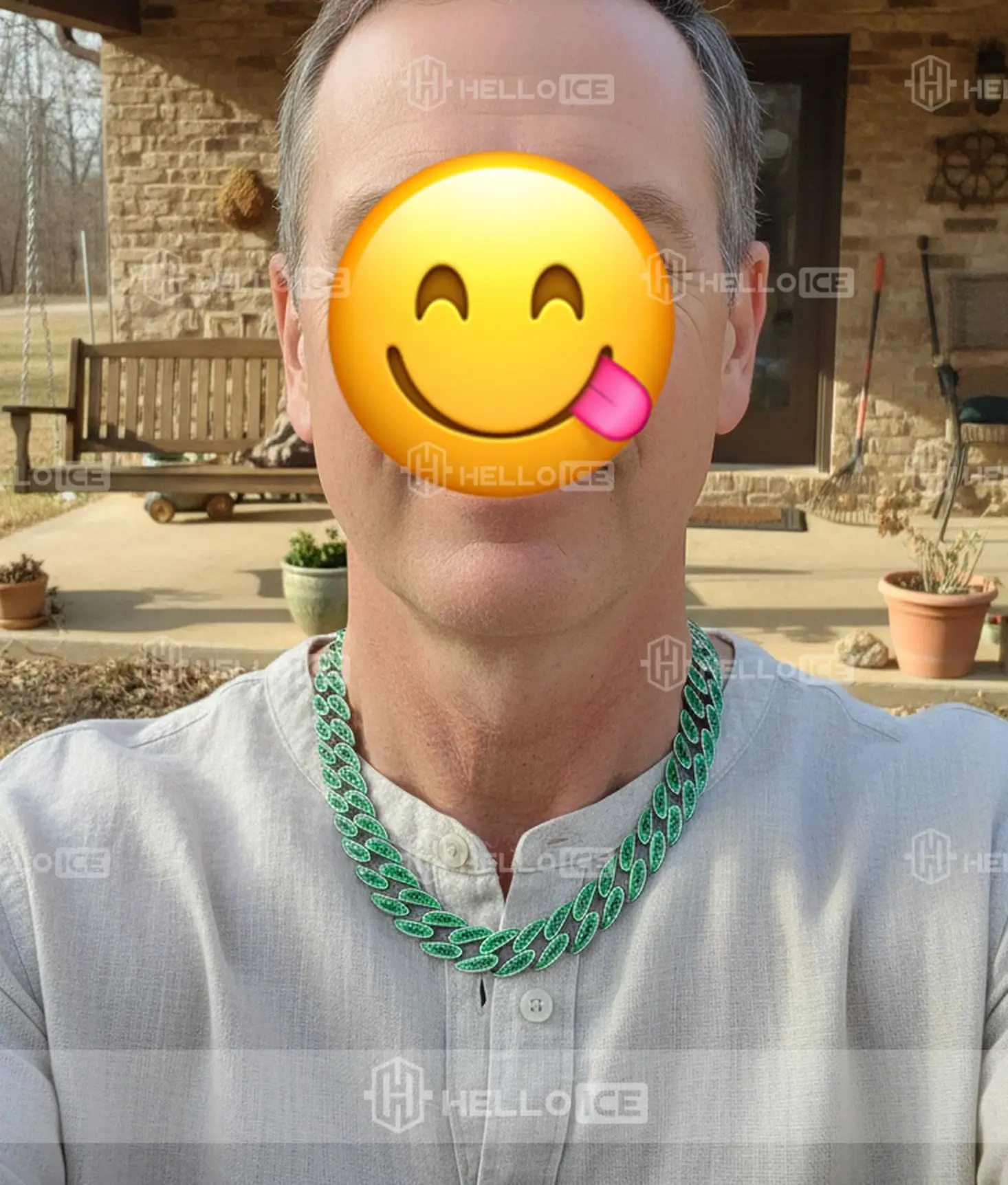 Helloice Review Image