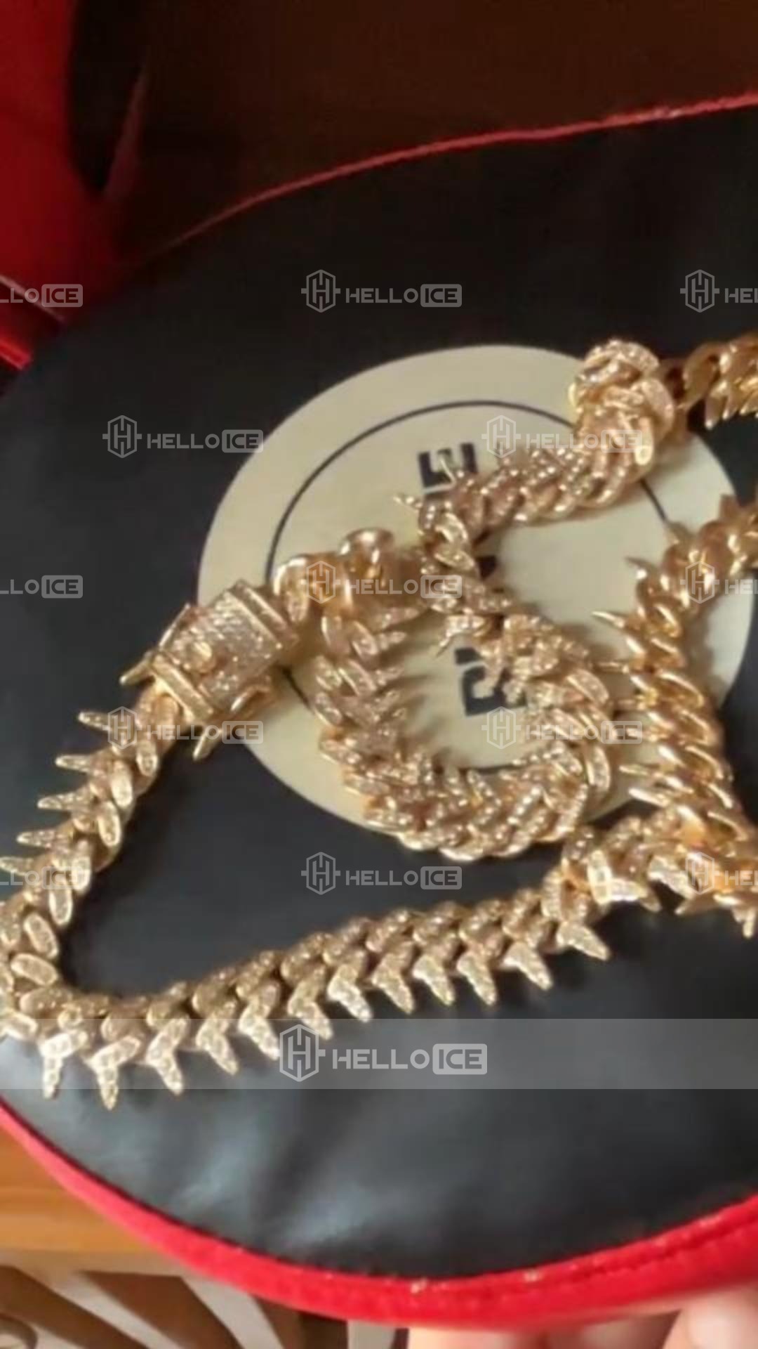 Helloice Review Image