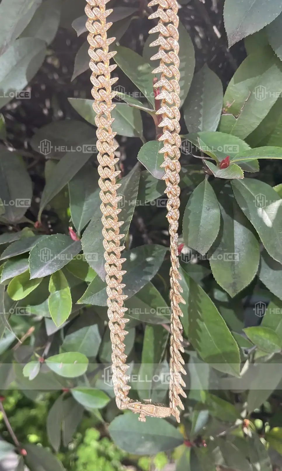 Helloice Review Image