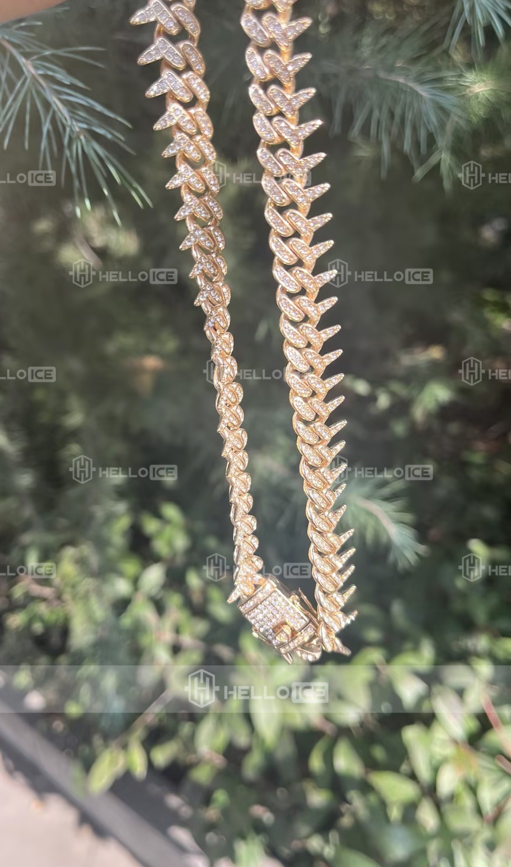 Helloice Review Image