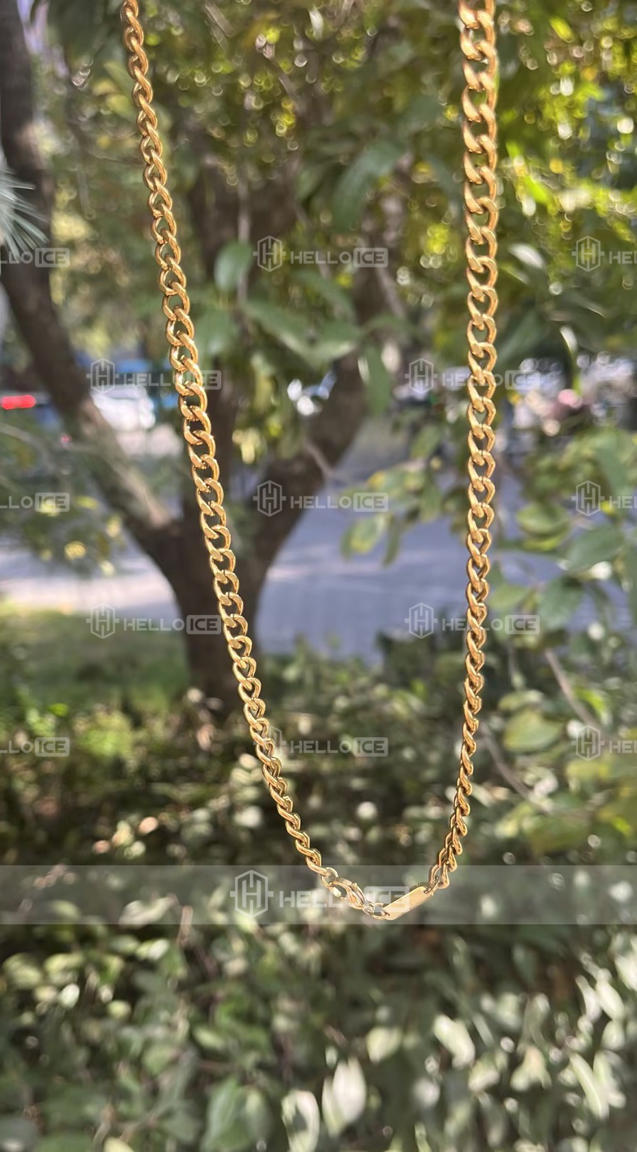 Helloice Review Image