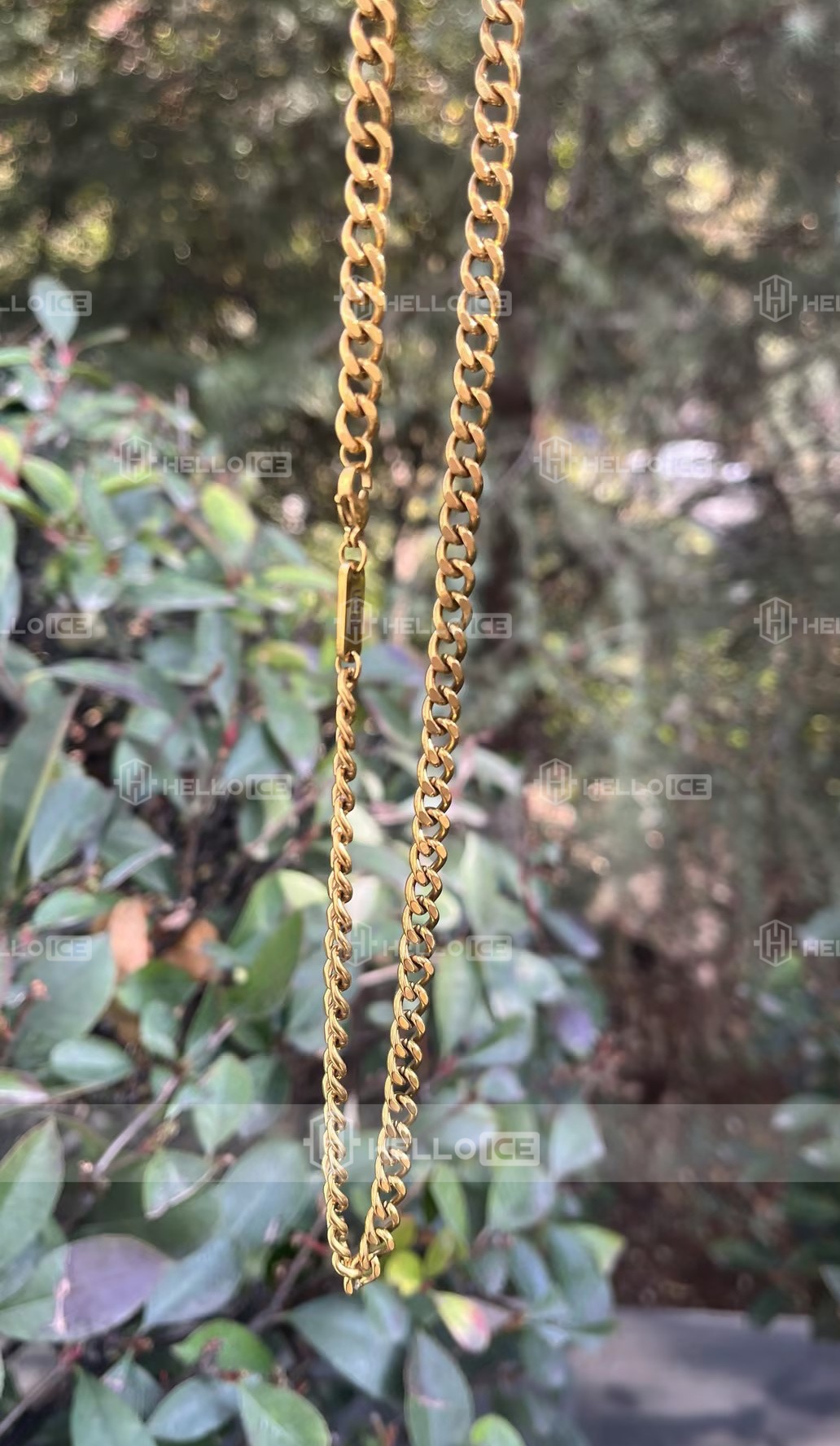 Helloice Review Image