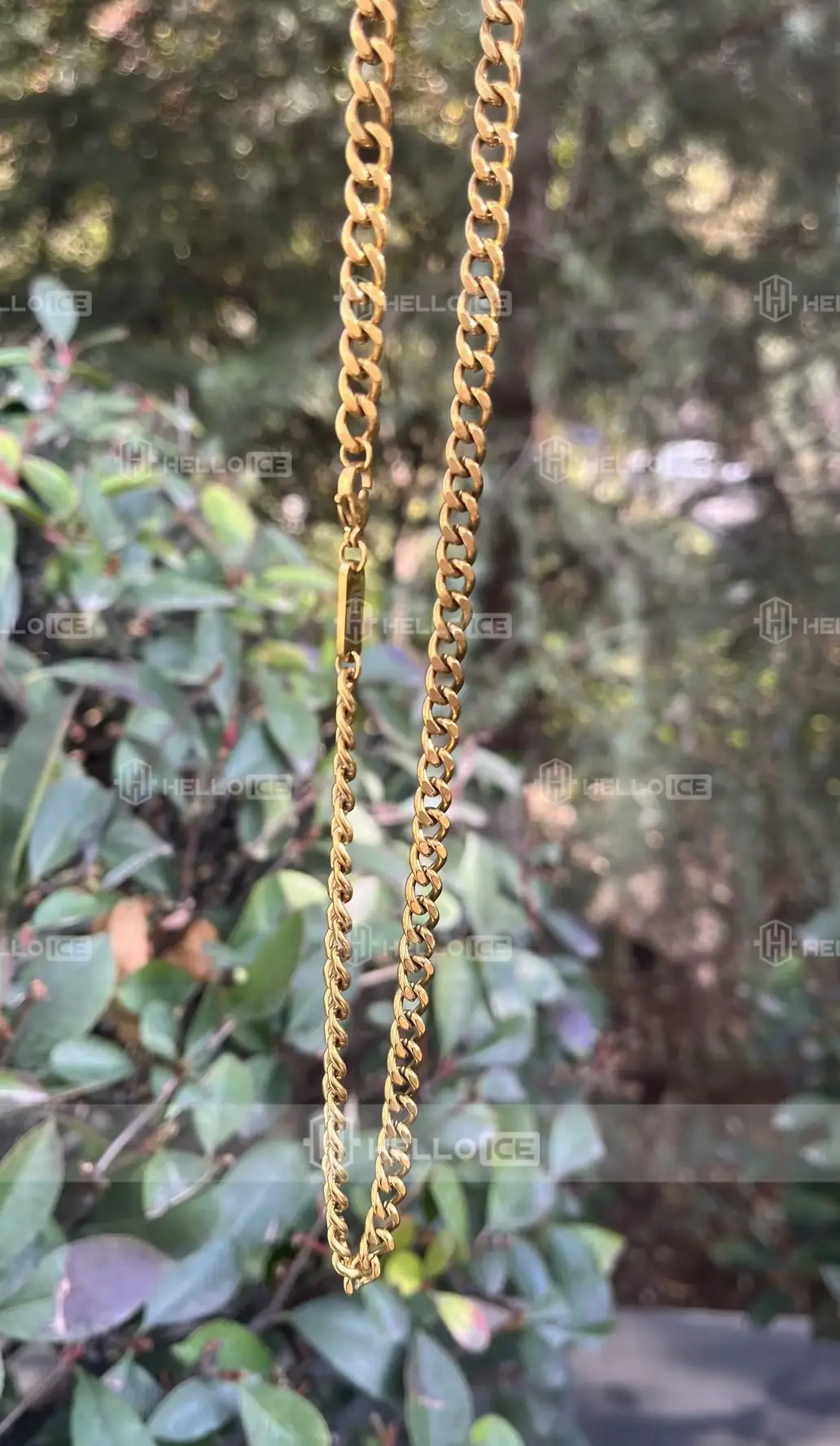 Helloice Review Image