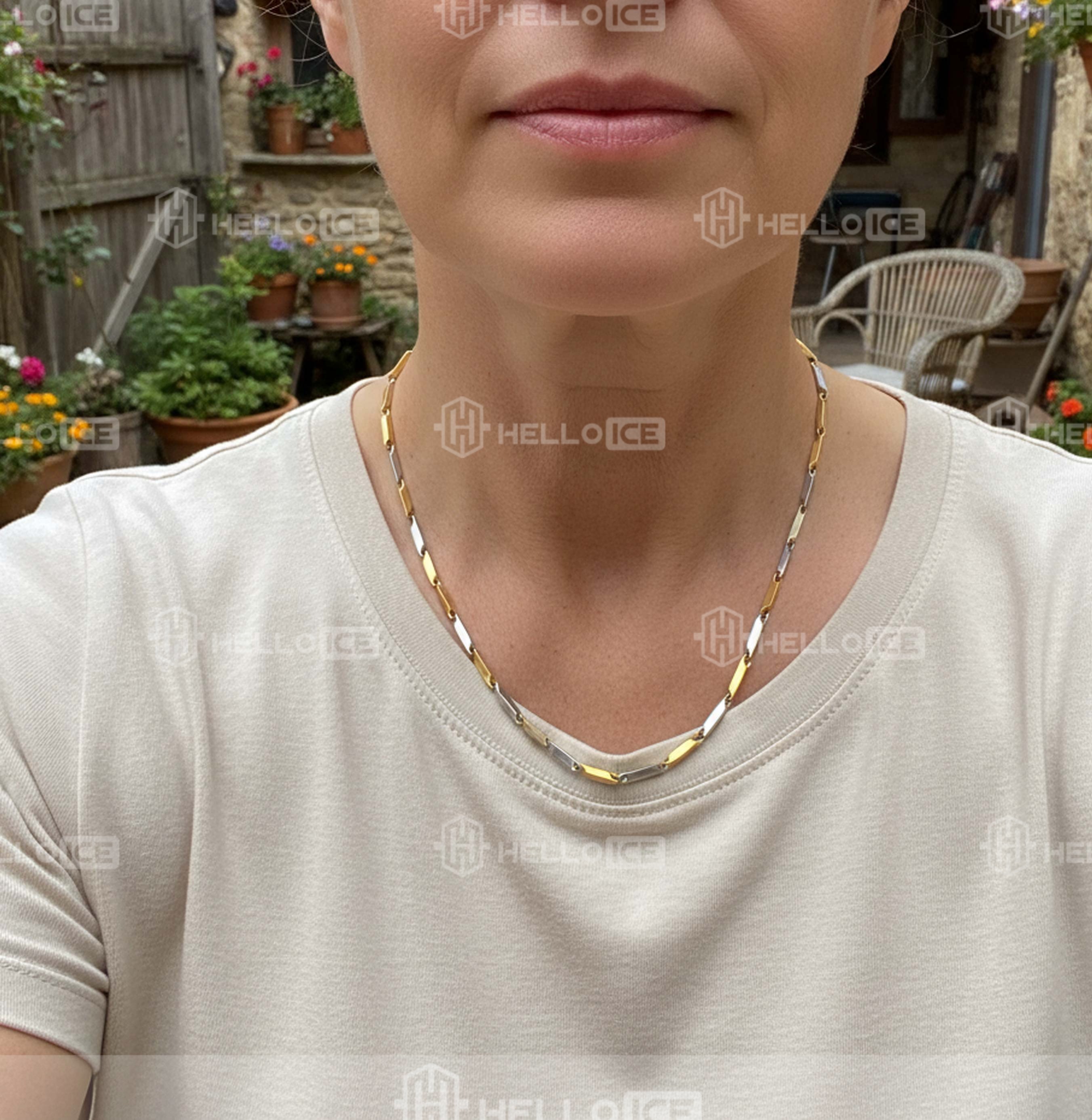 Helloice Review Image