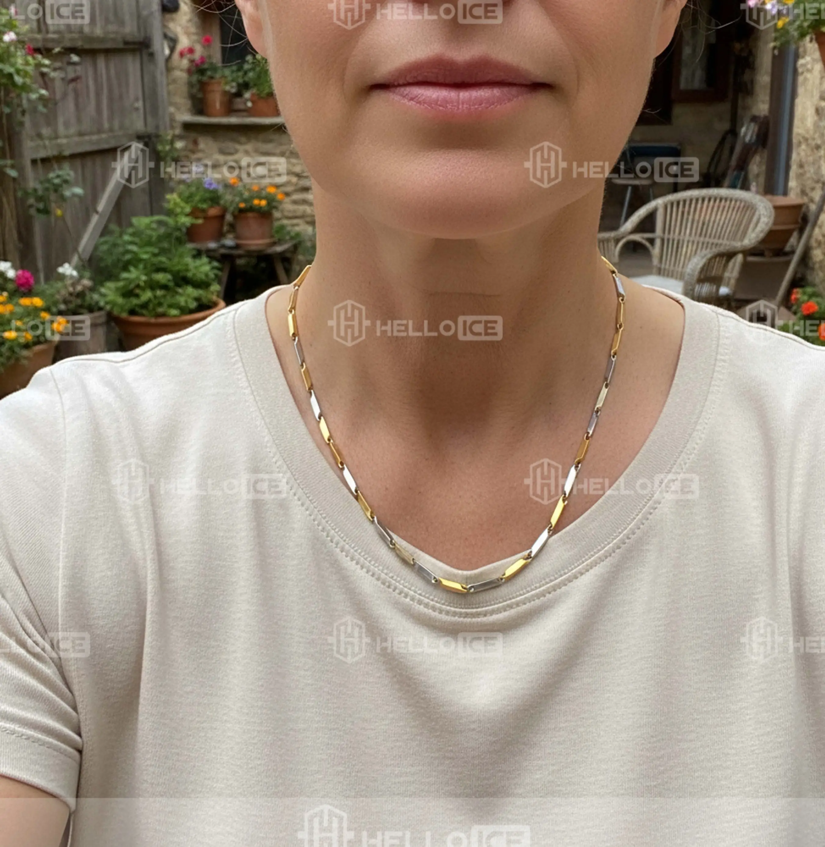 Helloice Review Image