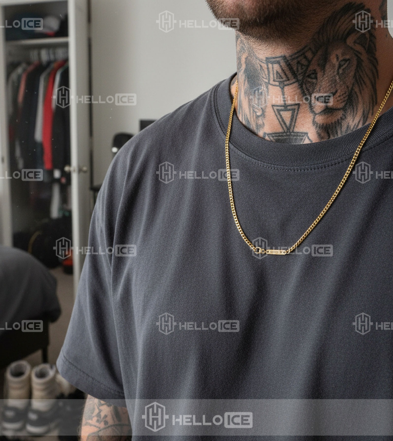 Helloice Review Image