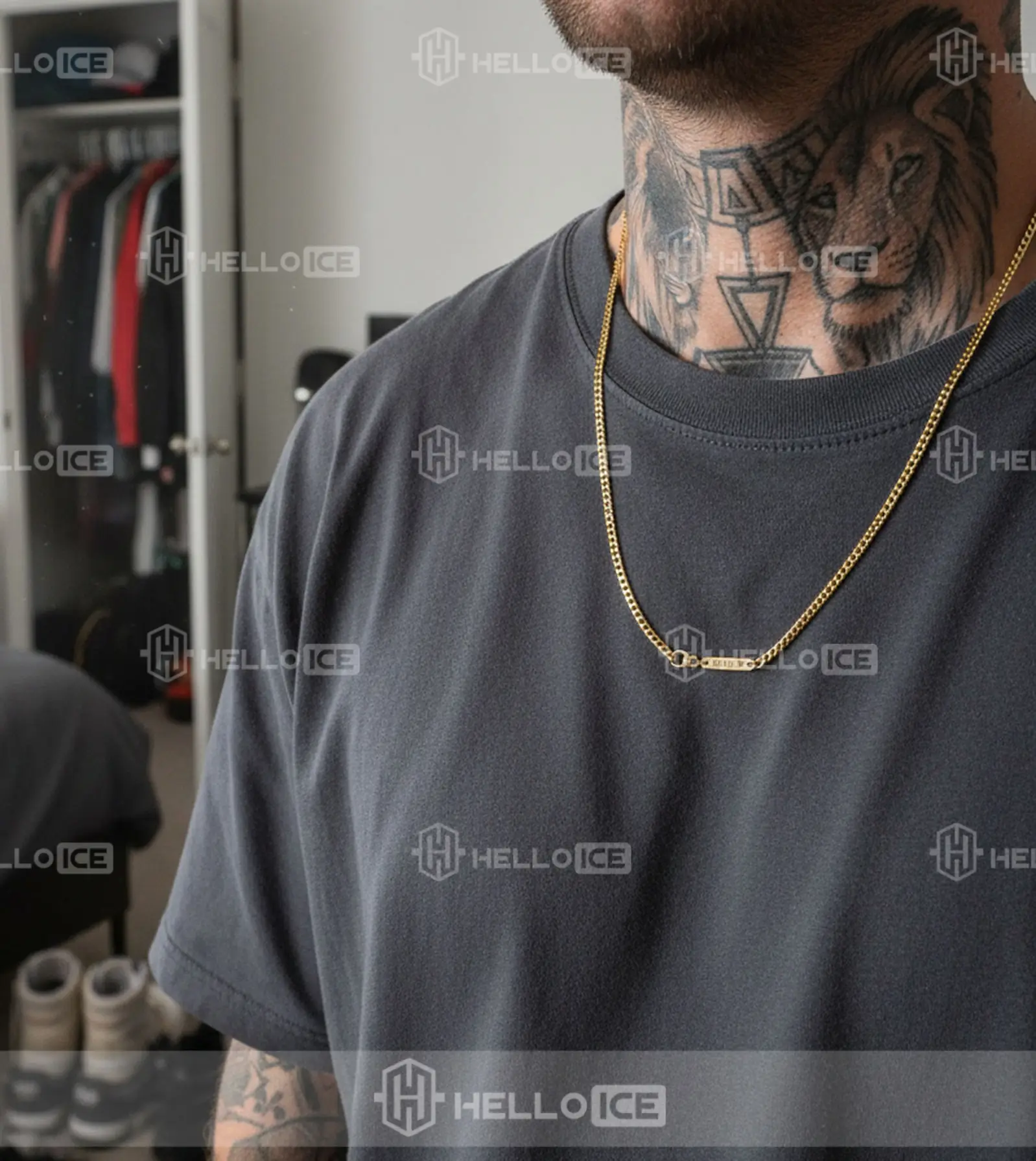 Helloice Review Image