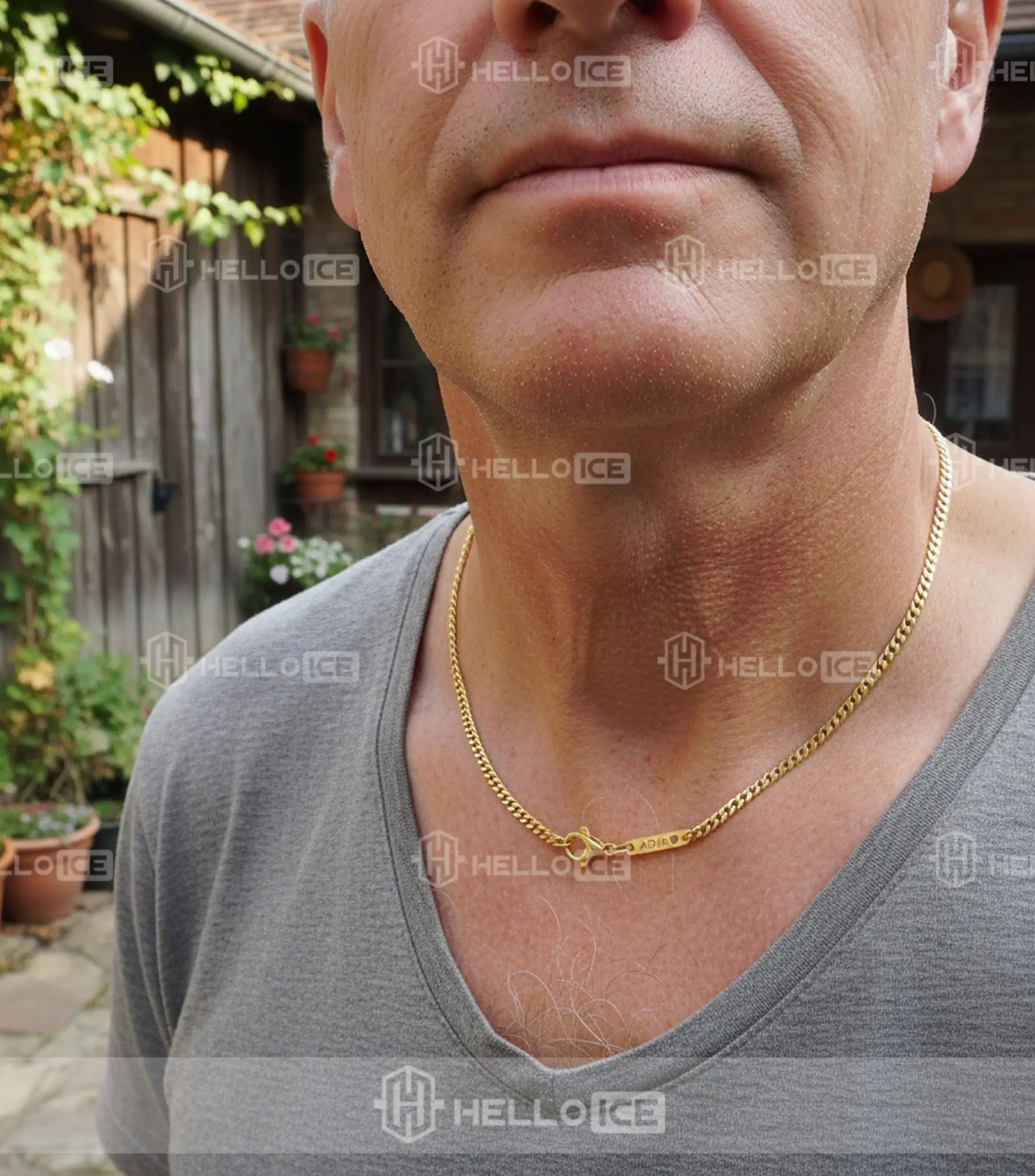 Helloice Review Image