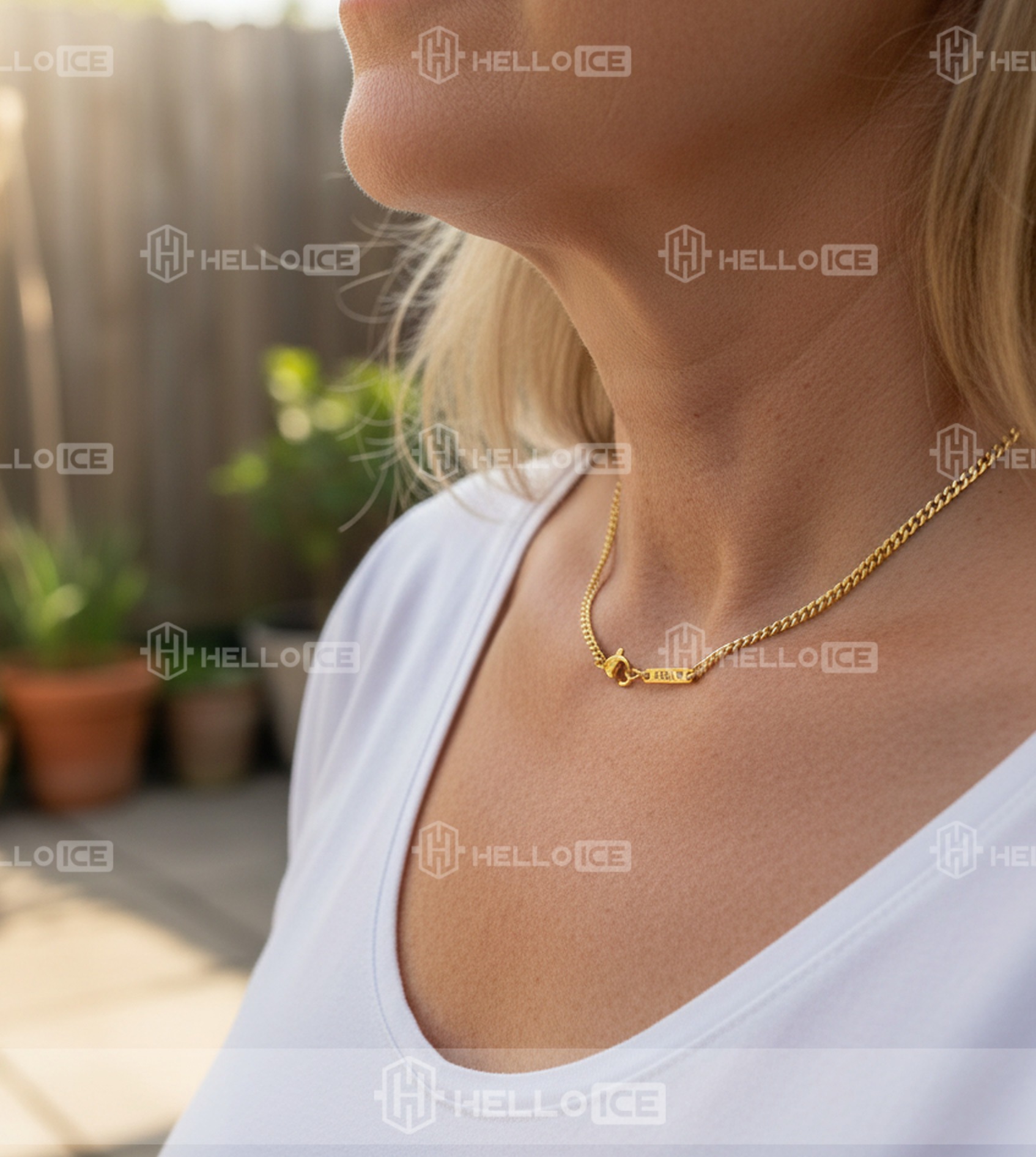 Helloice Review Image