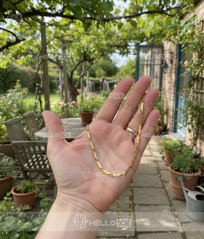 Helloice Review Image