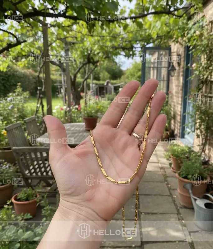 Helloice Review Image