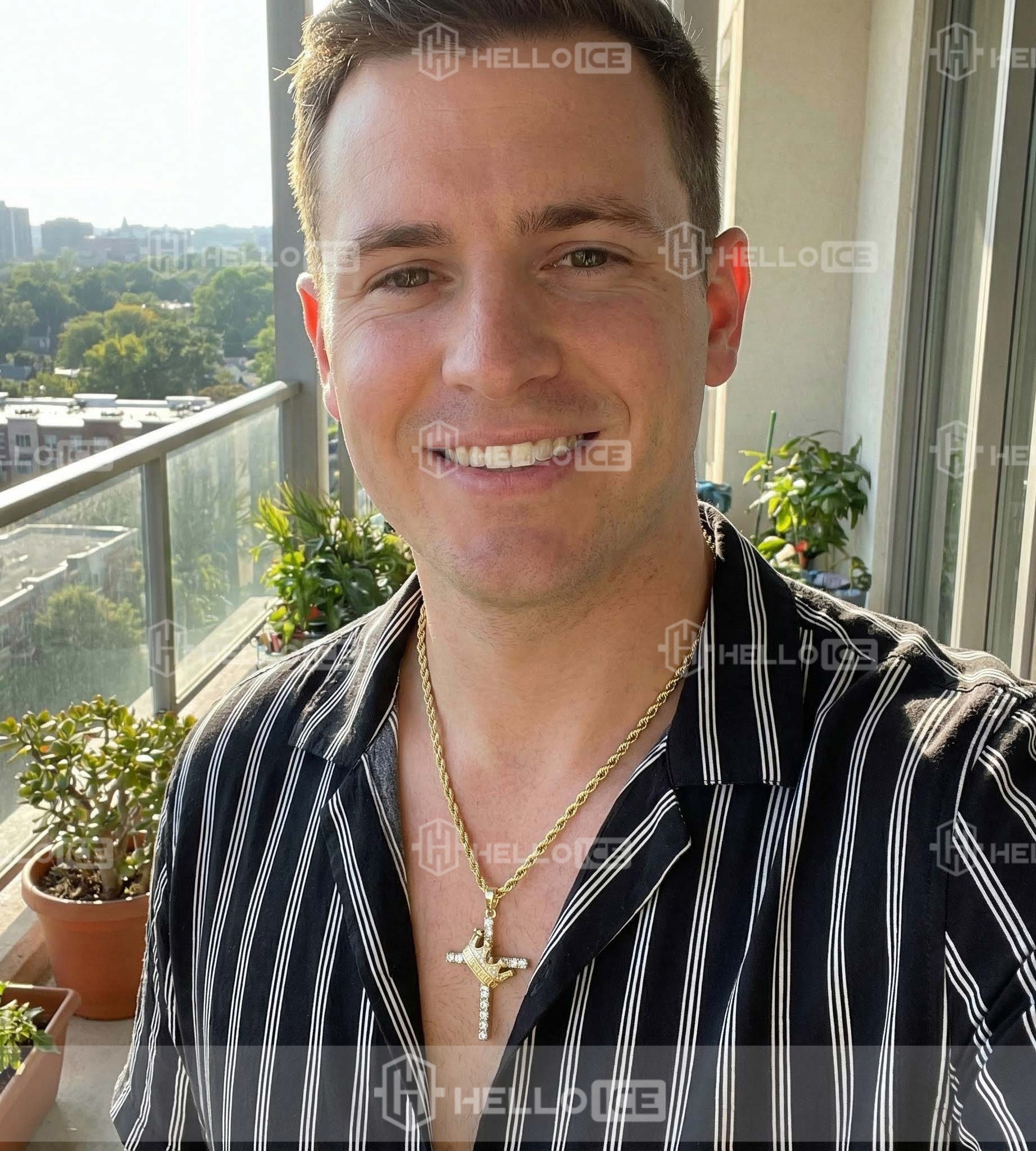 Helloice Review Image