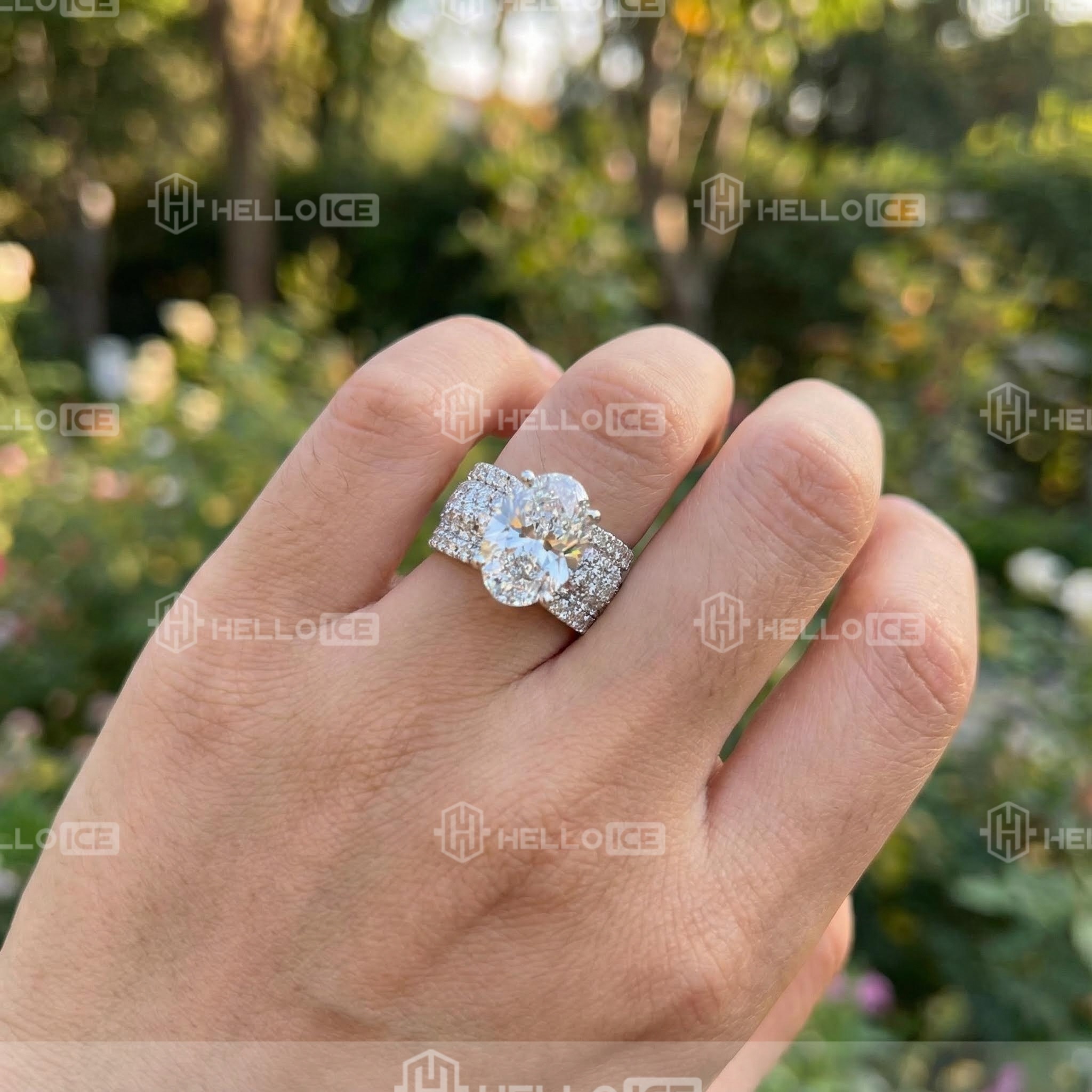 Helloice Review Image