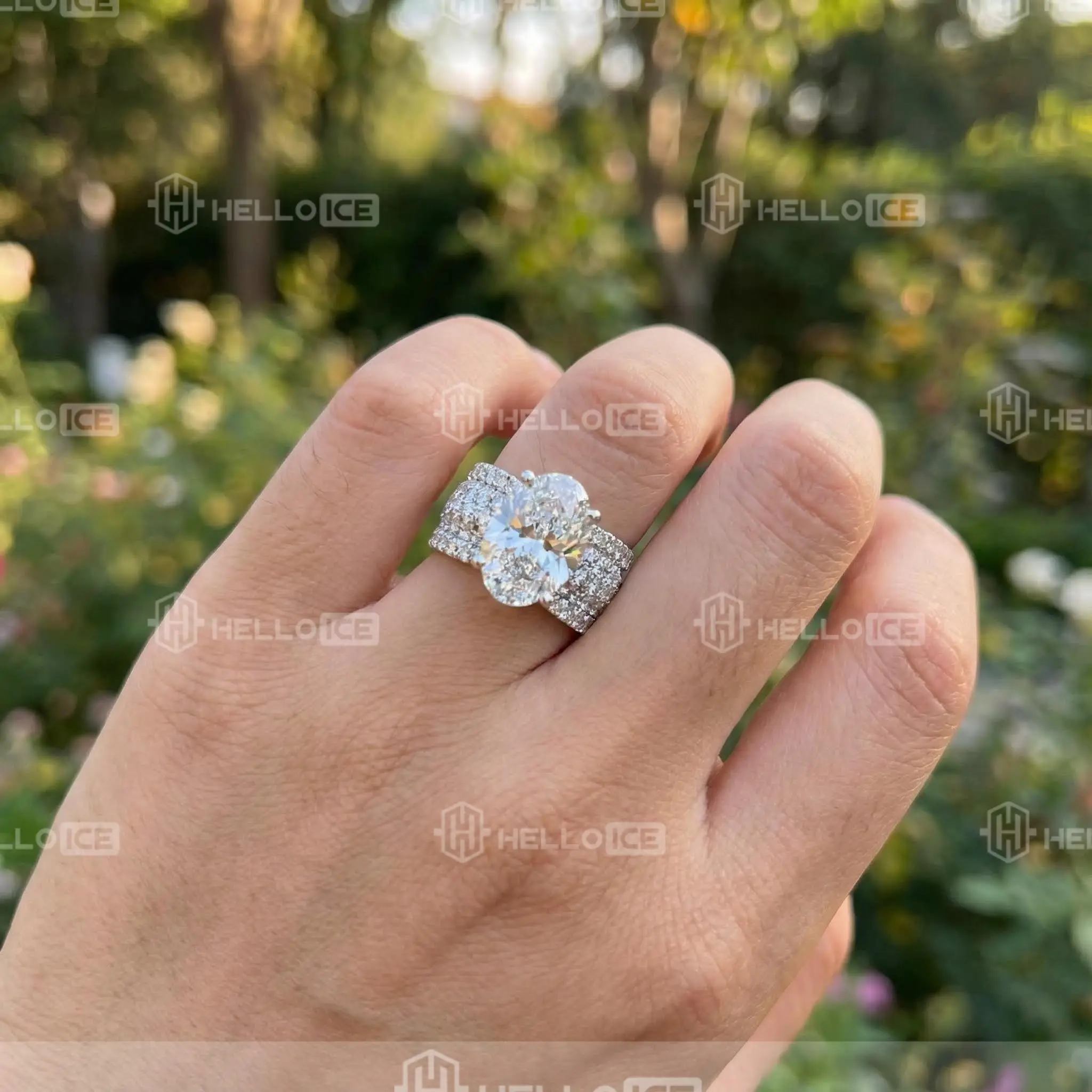 Helloice Review Image