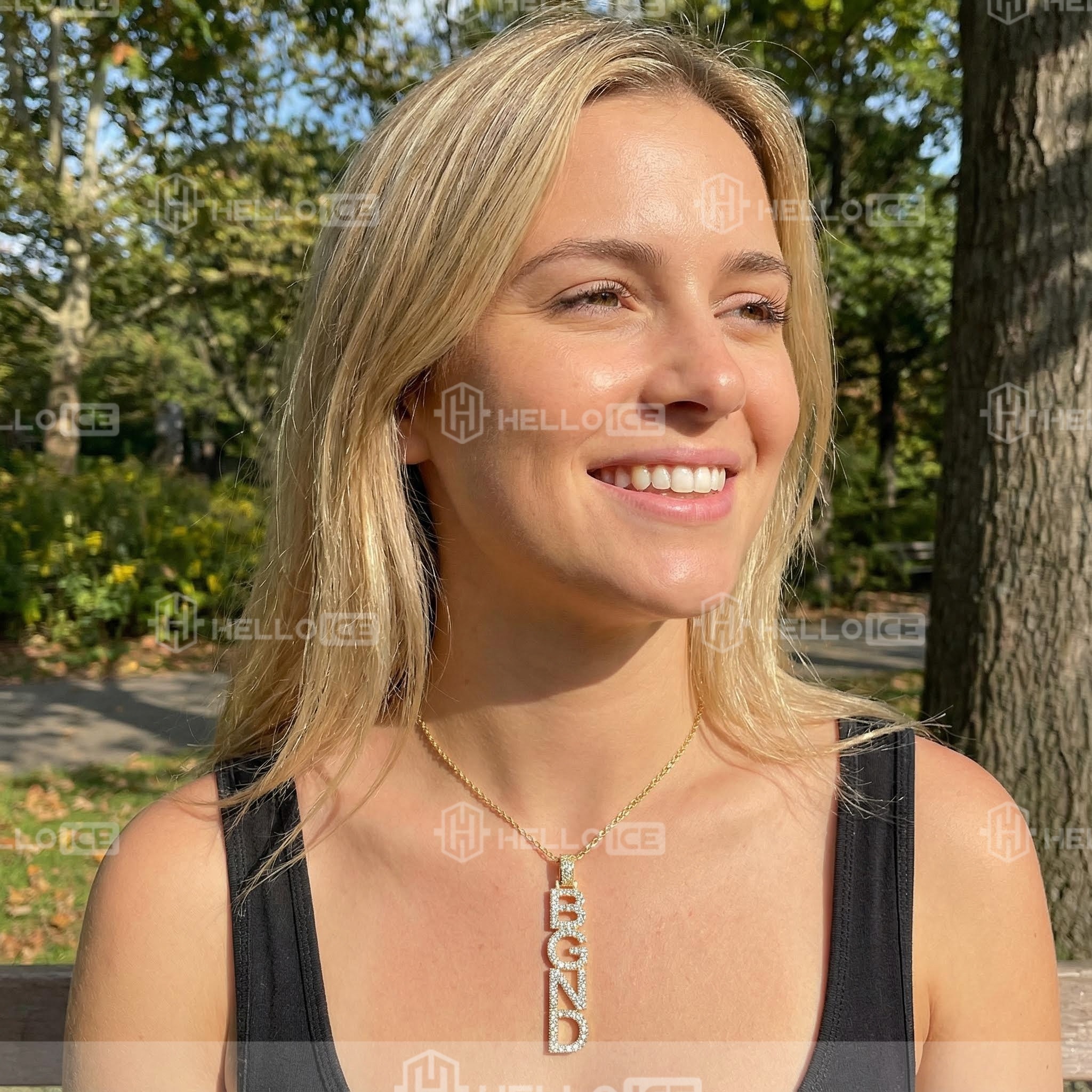 Helloice Review Image