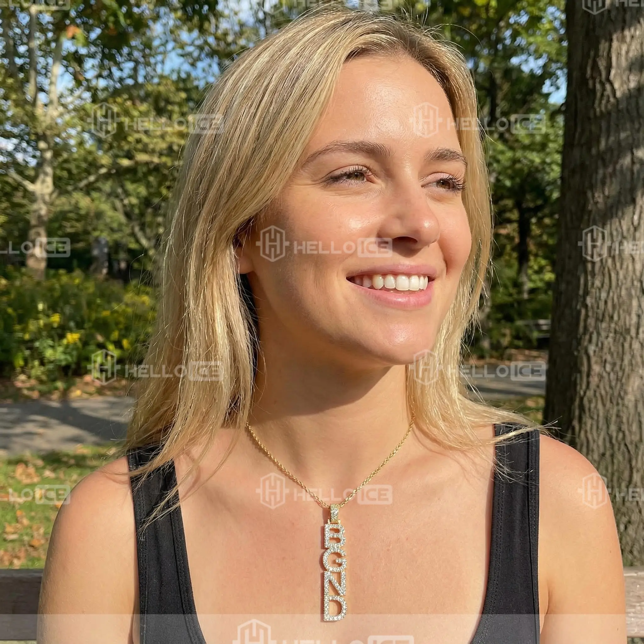 Helloice Review Image