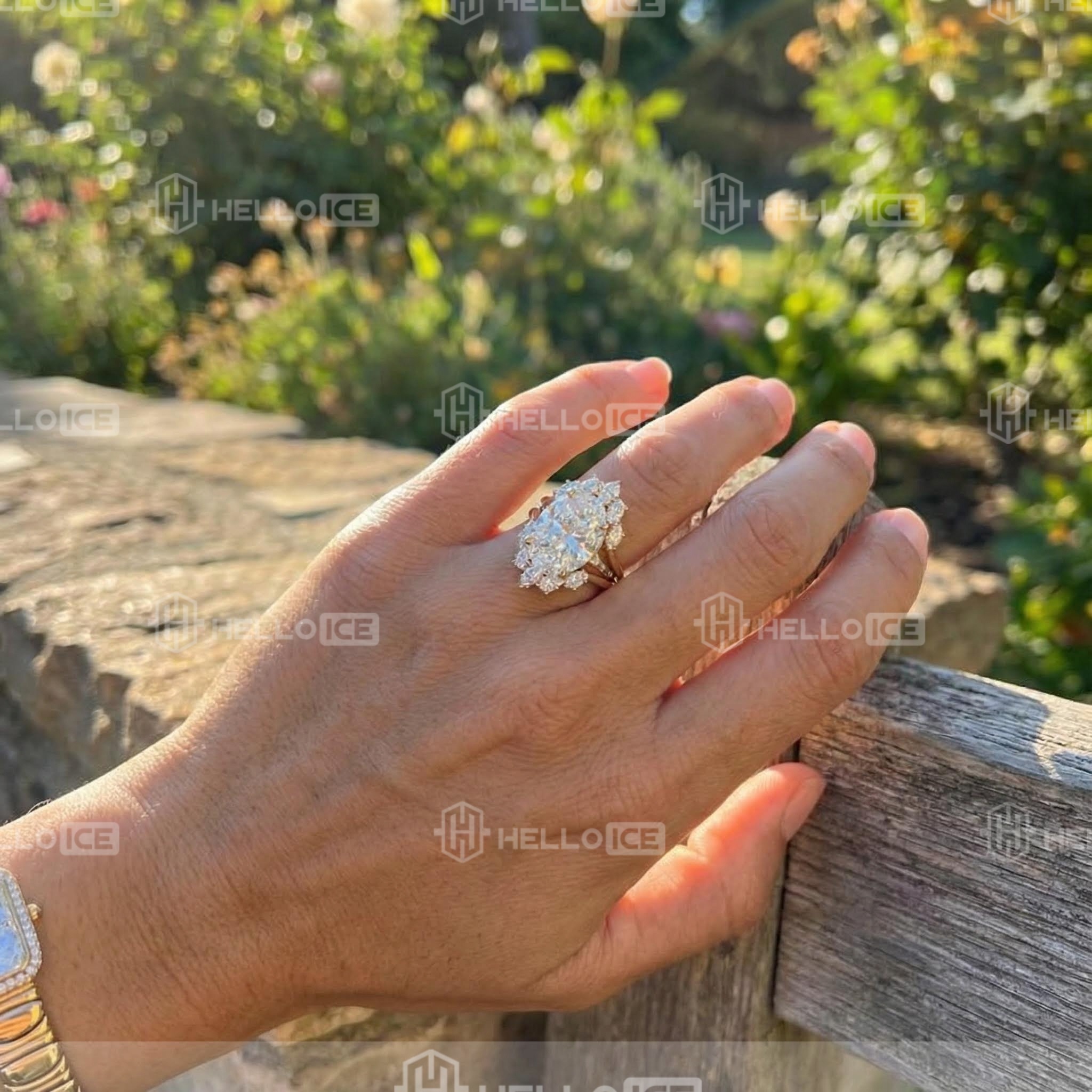 Helloice Review Image