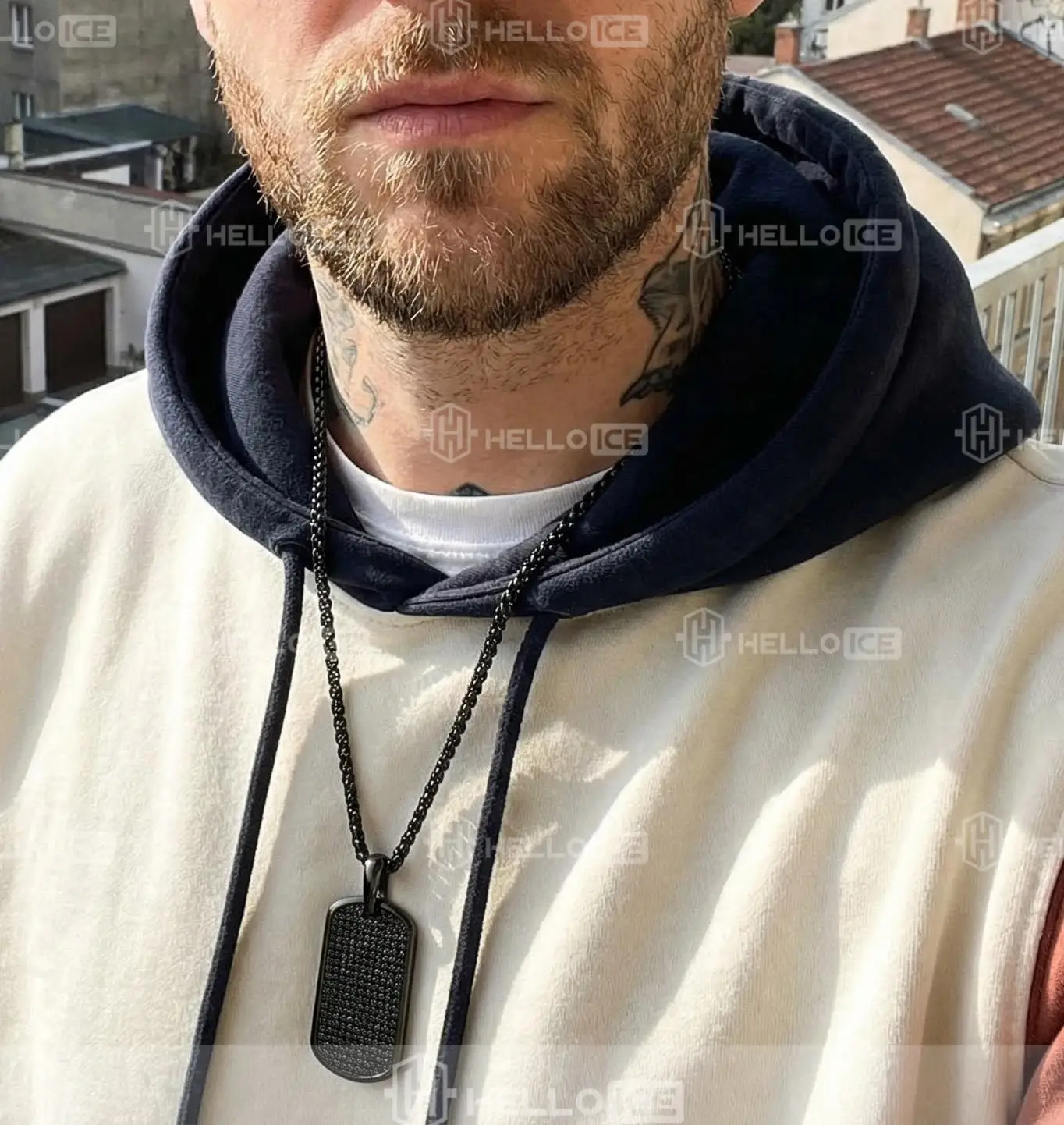 Helloice Review Image