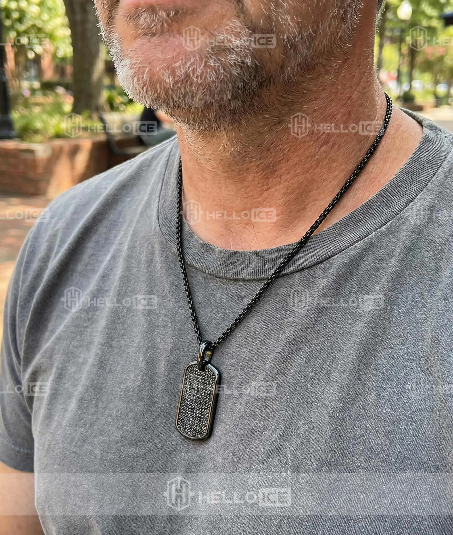 Helloice Review Image