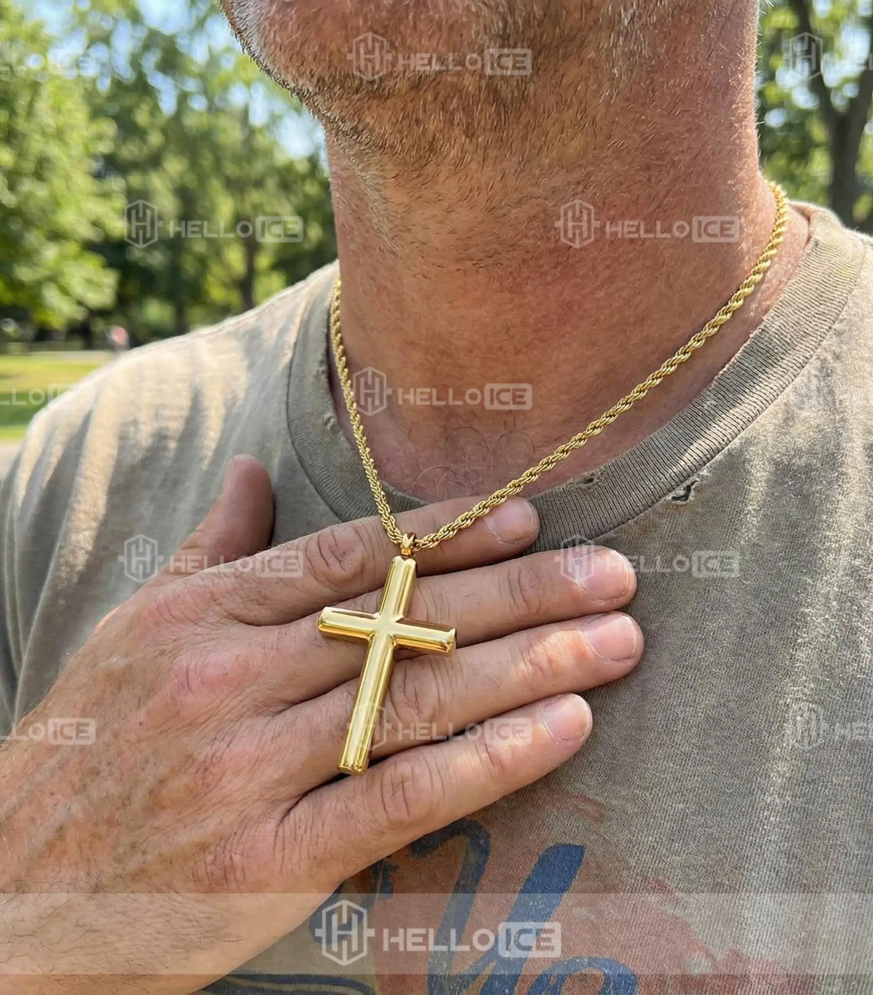 Helloice Review Image