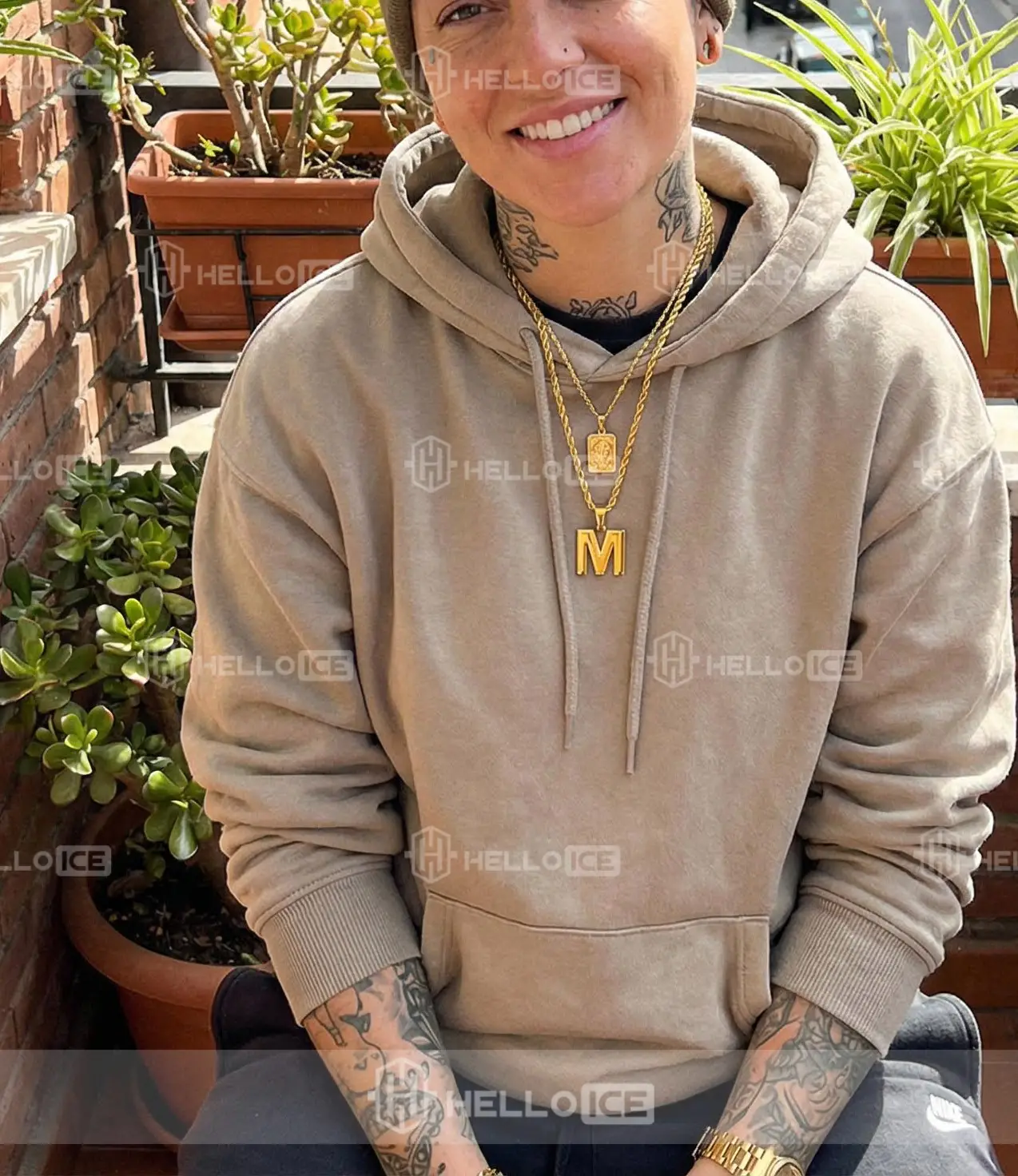 Helloice Review Image