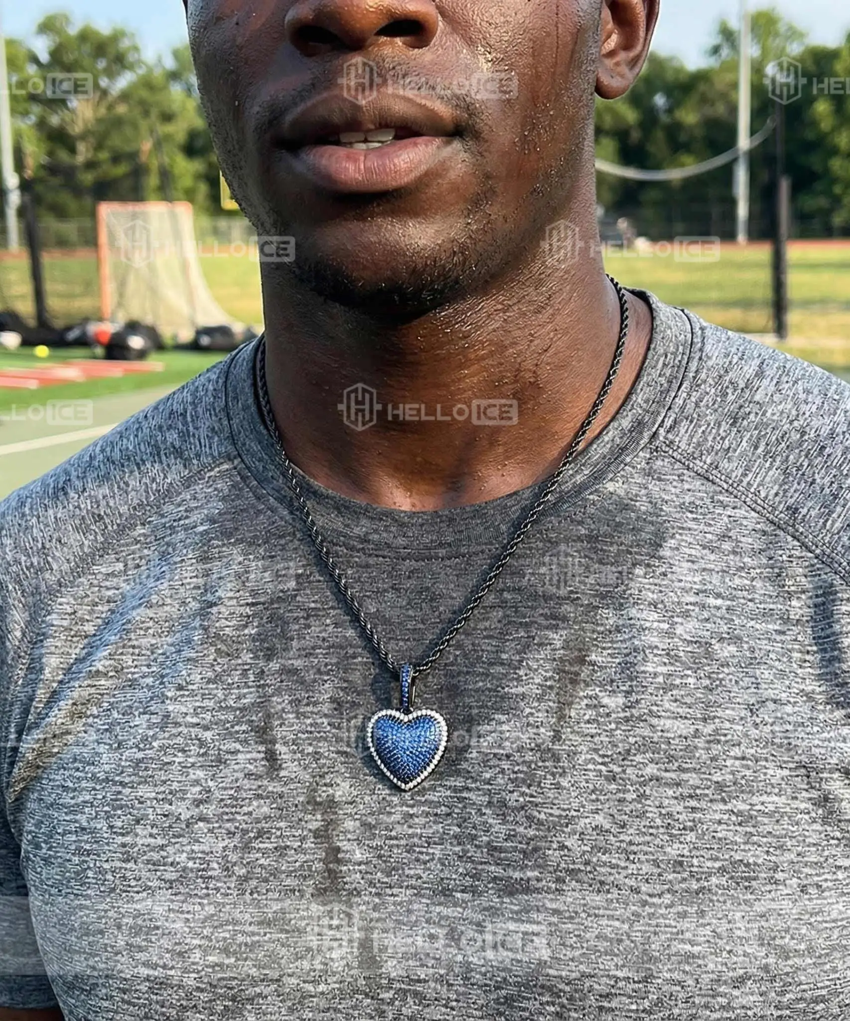 Helloice Review Image